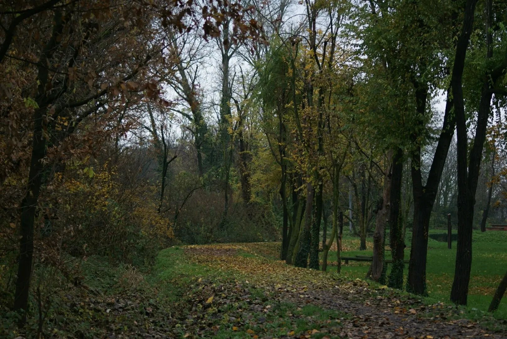 Photo showing: 500px provided description: Path [#autumn ,#park ,#trees ,#leaves ,#nature ,#italy ,#path ,#grass ,#green ,#italia ,#milan ,#verde ,#lombardia ,#milano ,#lombardy ,#natura ,#foglie ,#alberi ,#autunno ,#parco ,#mi ,#sentiero]