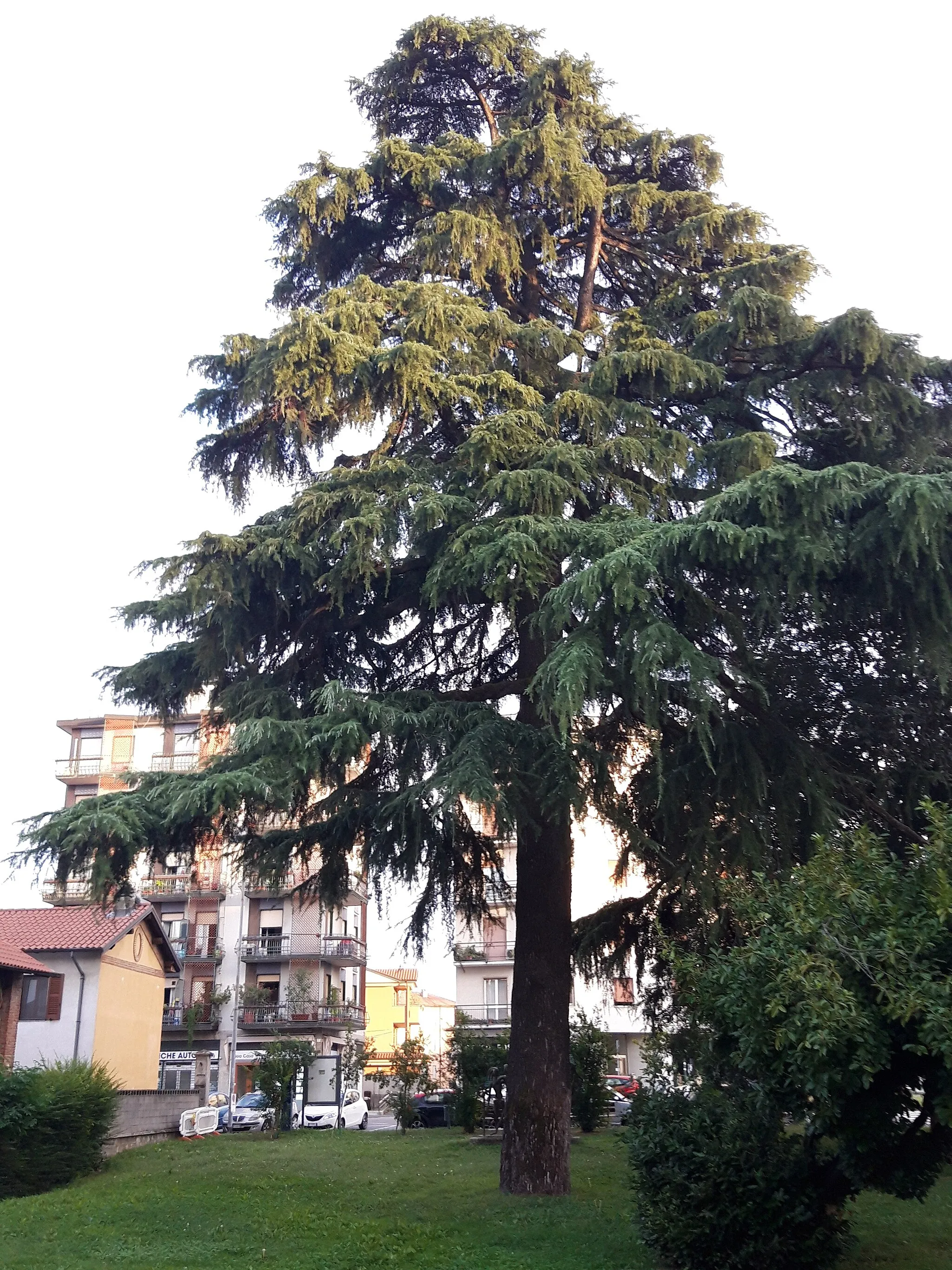 Photo showing: This is a photo of a monument which is part of cultural heritage of Italy. This monument participates in the contest Wiki Loves Monuments Italia 2020. See authorisations.