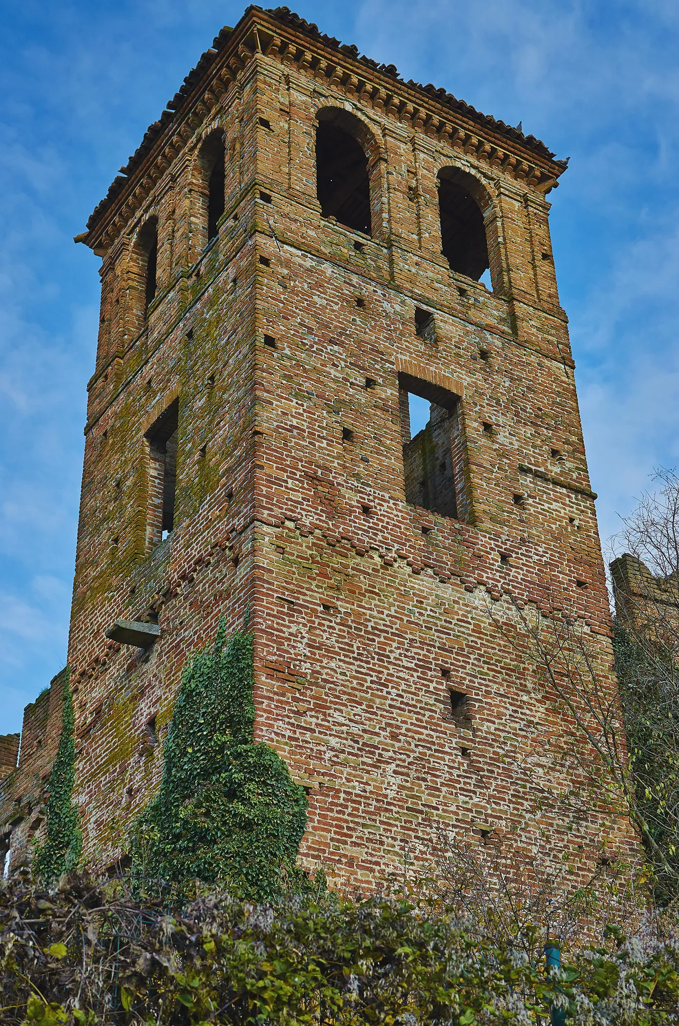 Photo showing: Torre del castello di Pinarolo