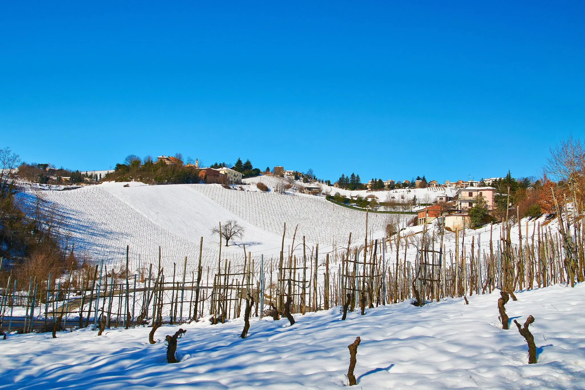 Photo showing: Monteveneroso