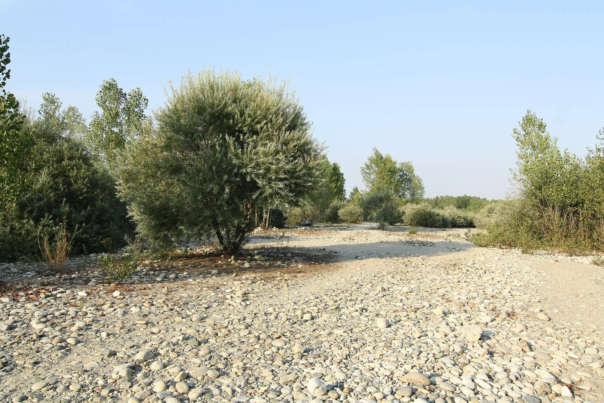 Photo showing: Ticino river near Vizzola Ticino.