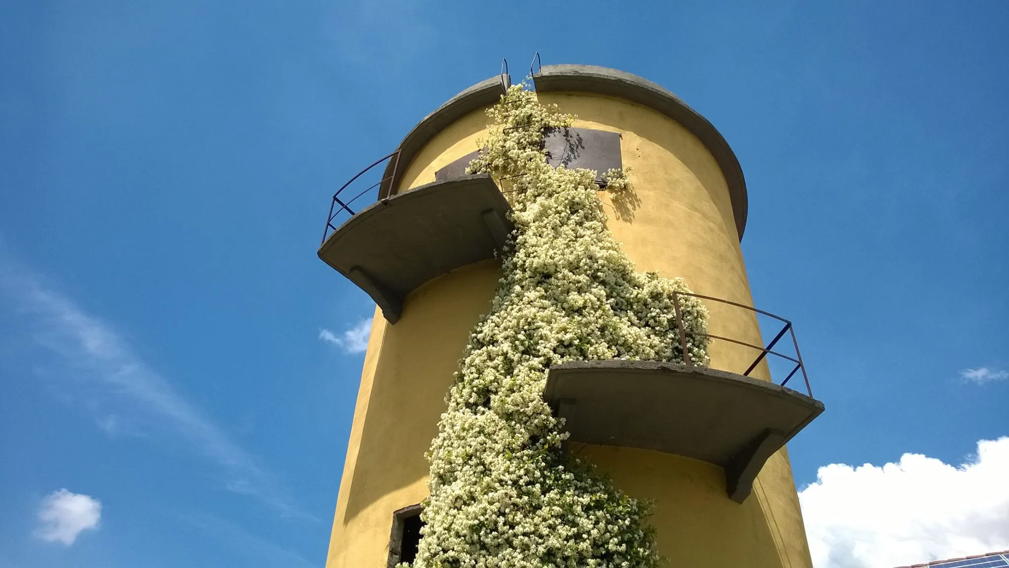 Photo showing: Silos agricolo presso cascina a Campomorto