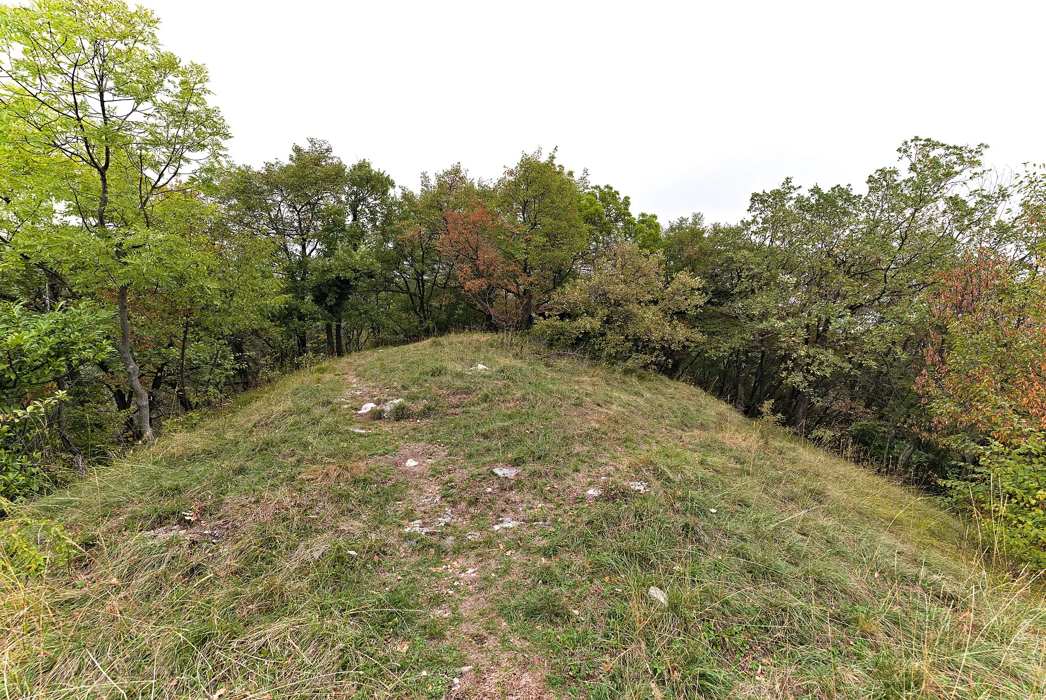 Photo showing: Monte Croce in Saltrio in the buffer zone of the UNESCO world heritage site Monte San Giorgio.