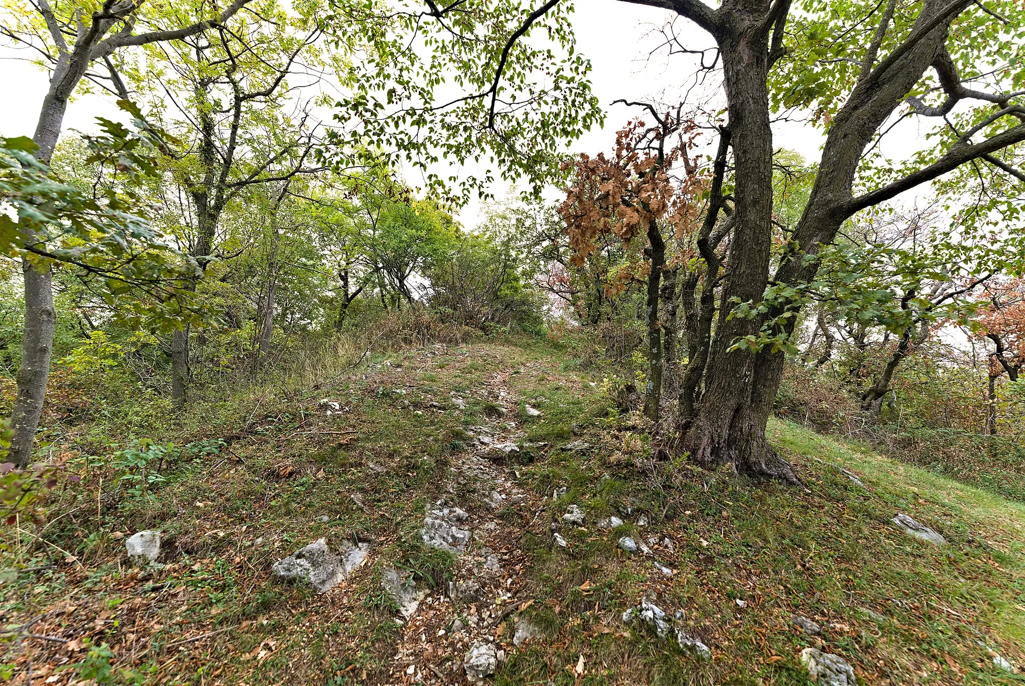 Photo showing: Monte Croce in Saltrio in the buffer zone of the UNESCO world heritage site Monte San Giorgio.