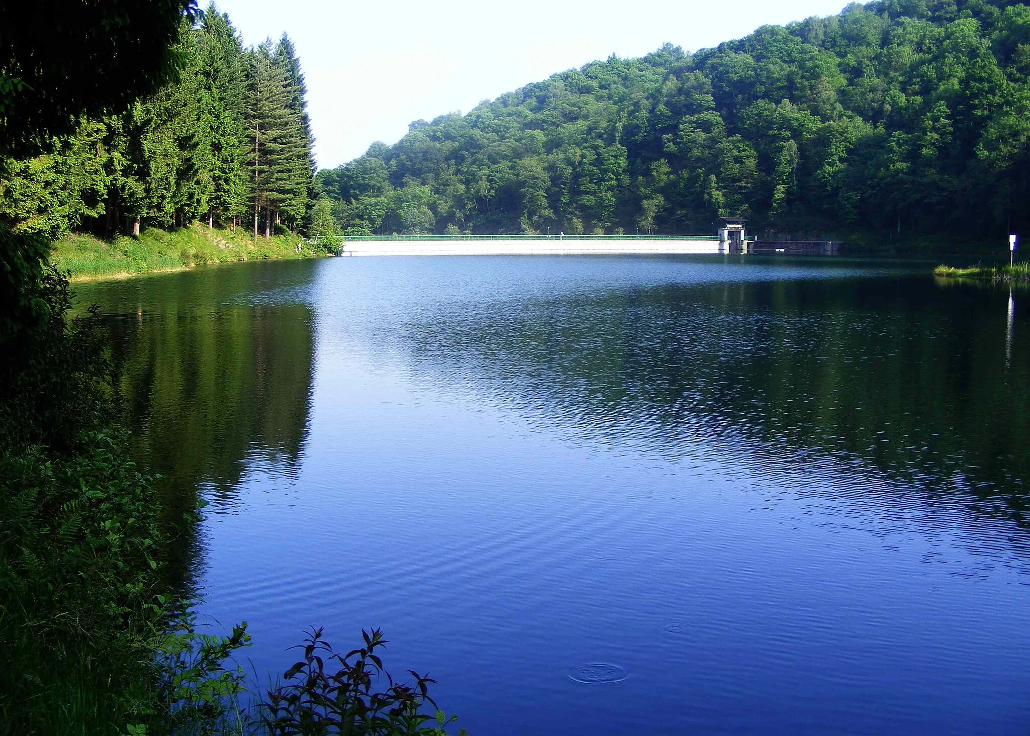 Photo showing: Ponte Vittorio artificial lake (BI, Italy)