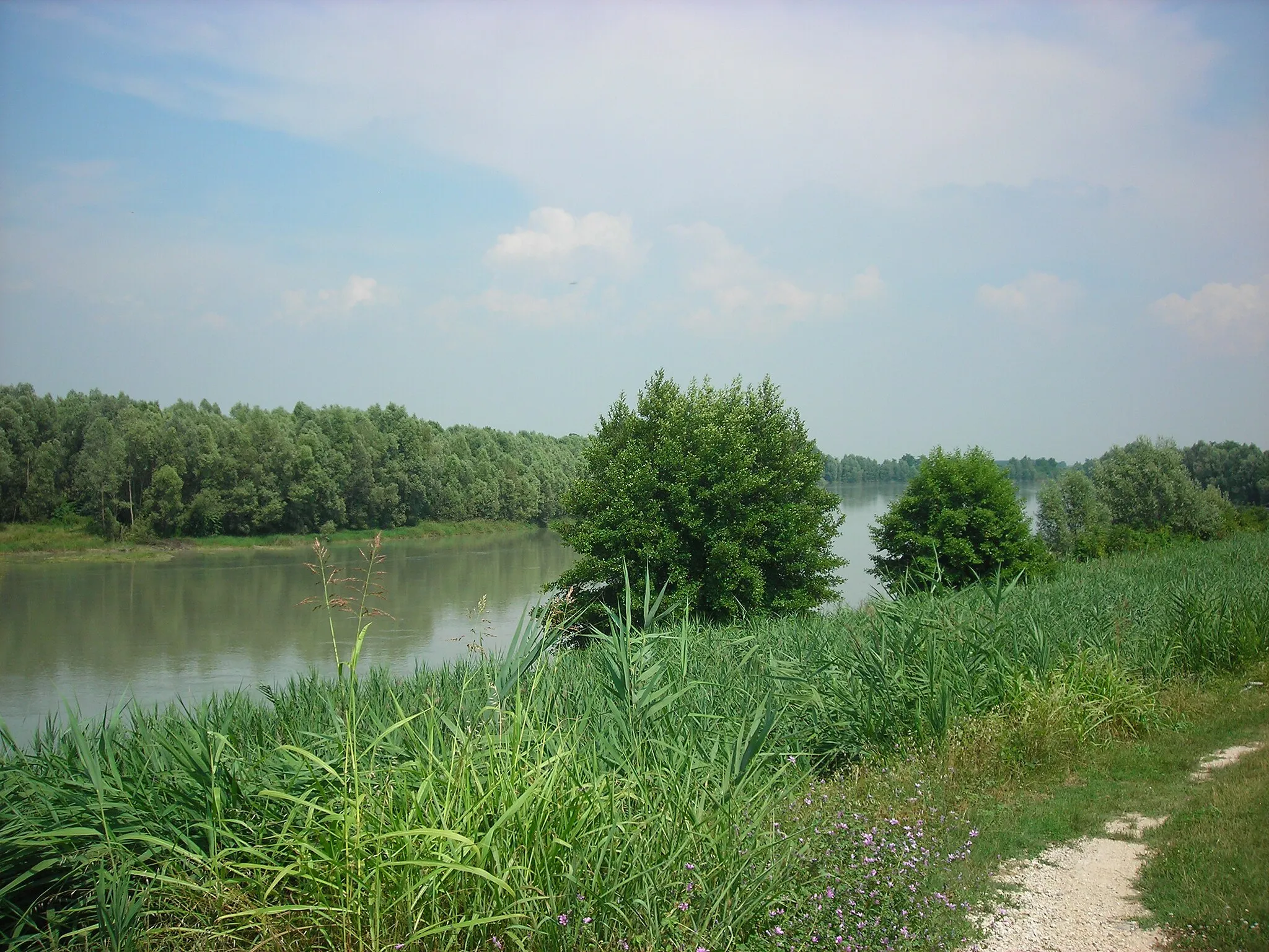 Photo showing: Fiume Adige presso Villa Bartolomea (VR)