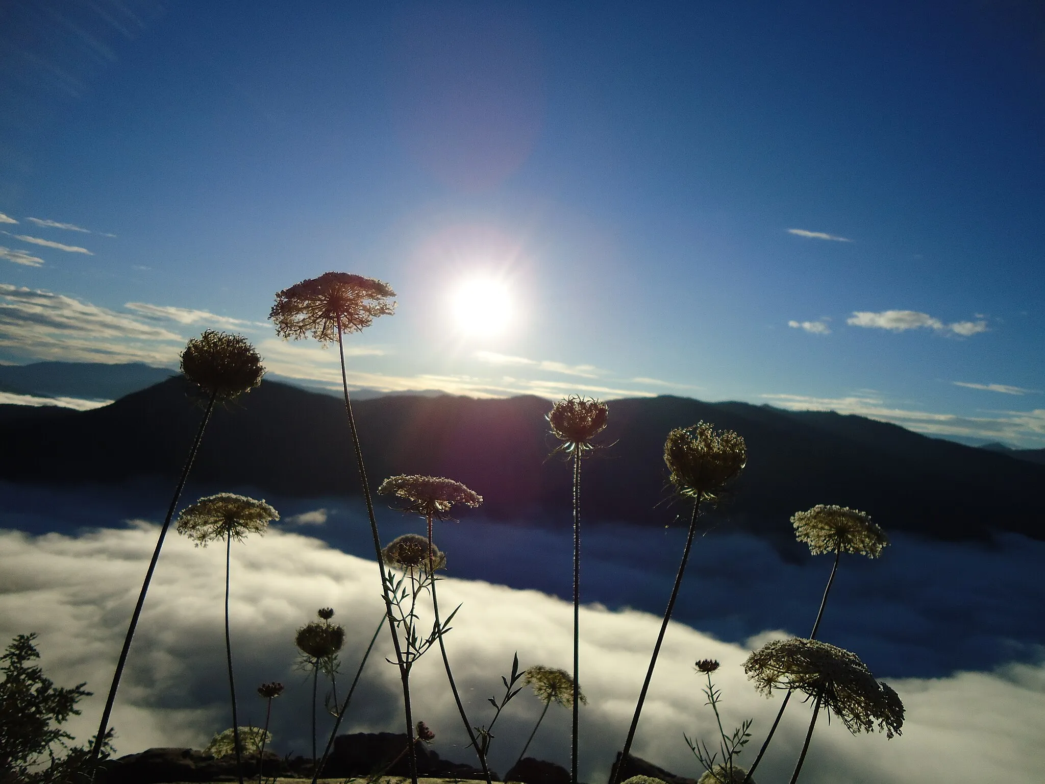 Photo showing: Sunrise in Zerba, Emilia-Romagna, Italy