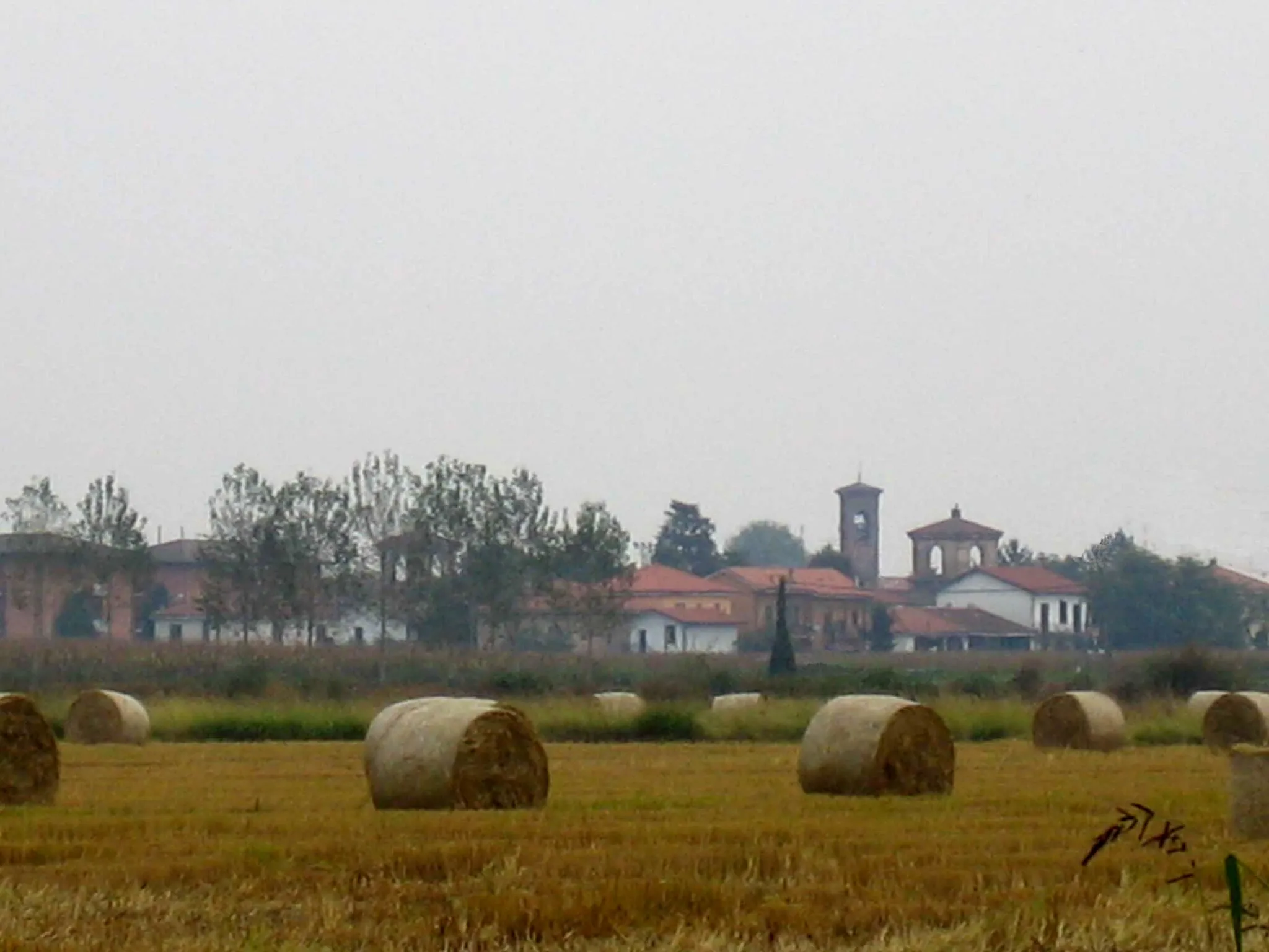 Photo showing: Carpiano dalle campagne
