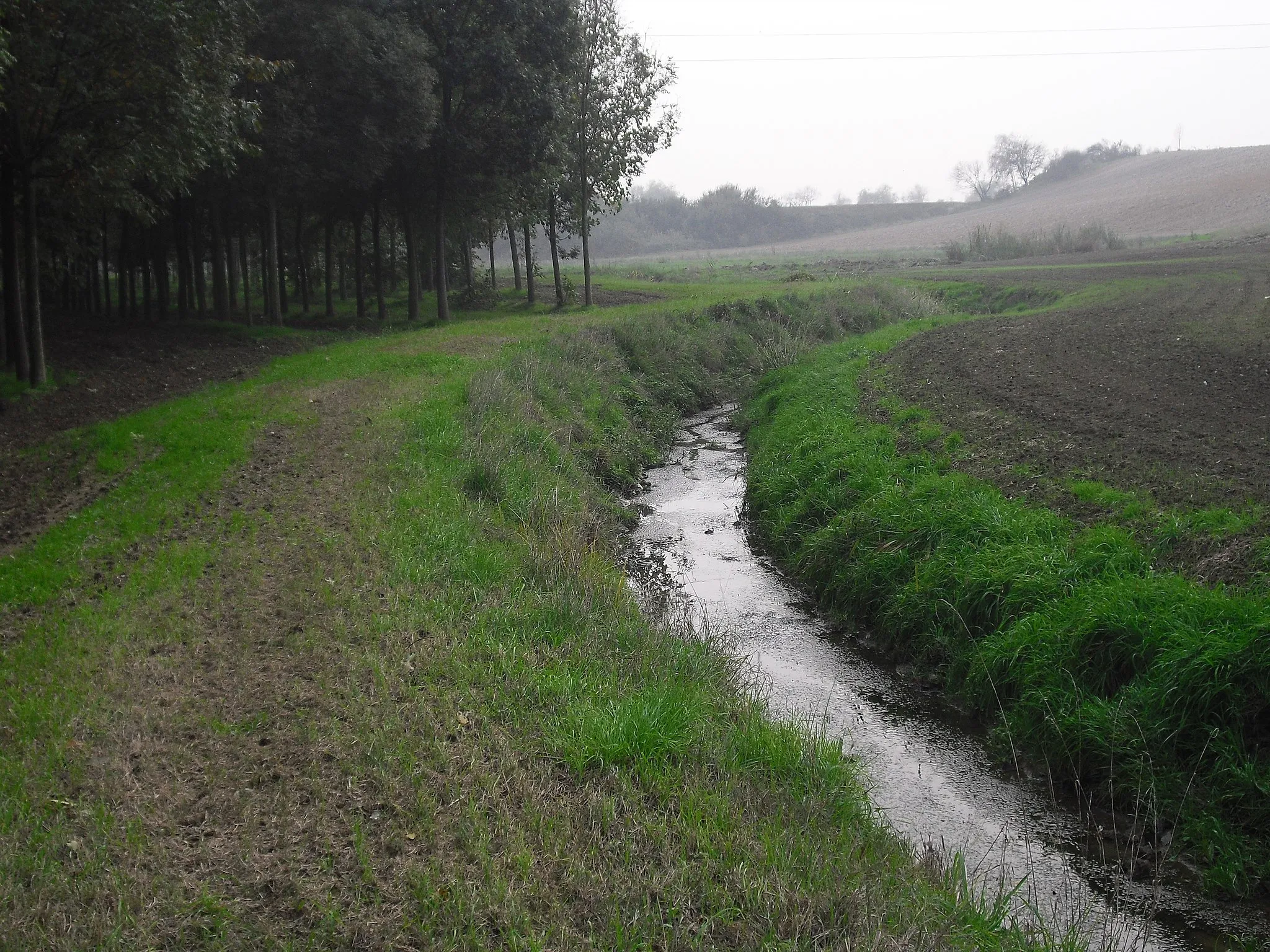 Photo showing: Arbogna creek near Novara
