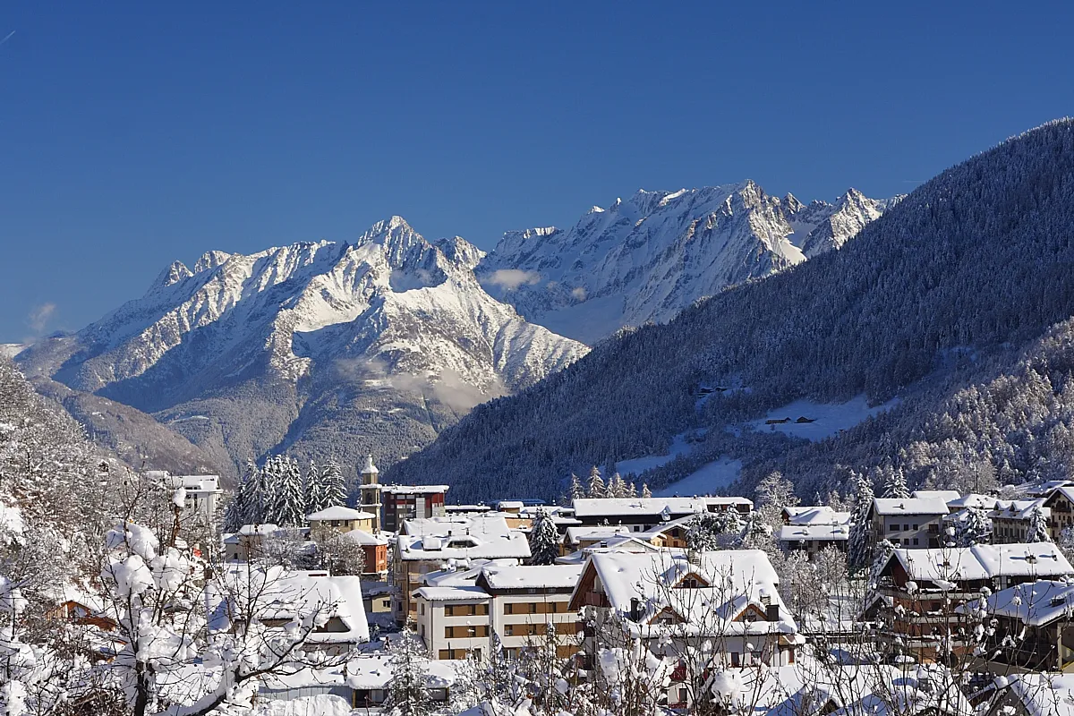 Photo showing: Aprica innevata