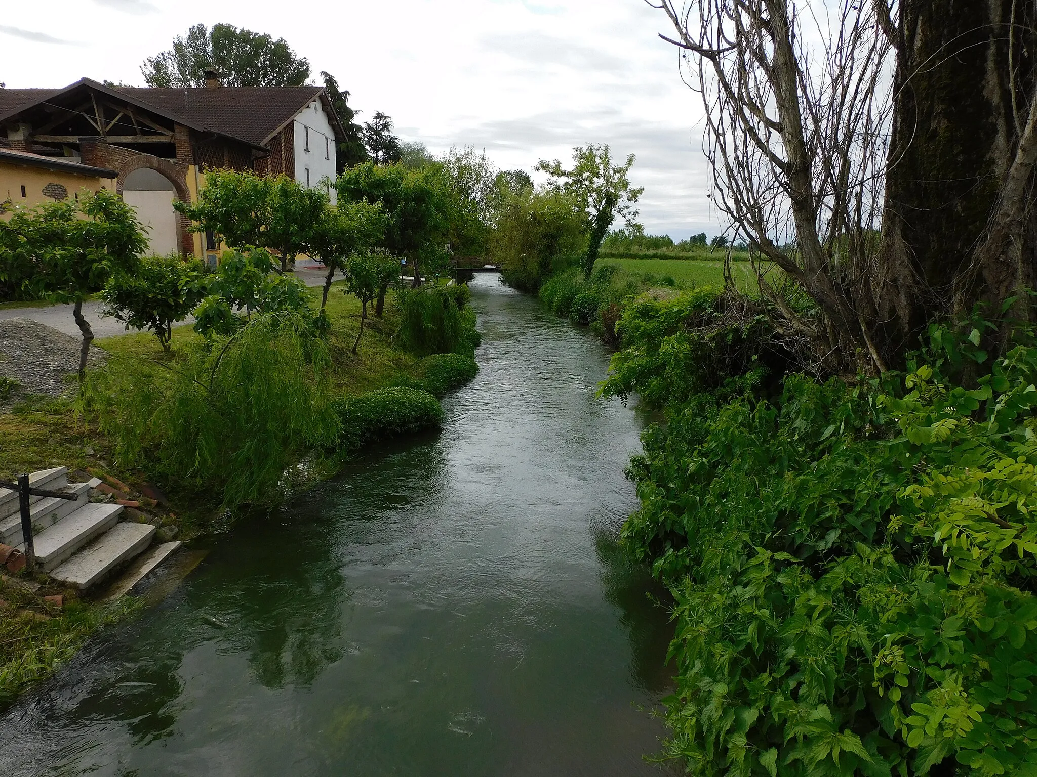 Photo showing: La Roggia Provaglia presso il ponte di via Solferino a Meano