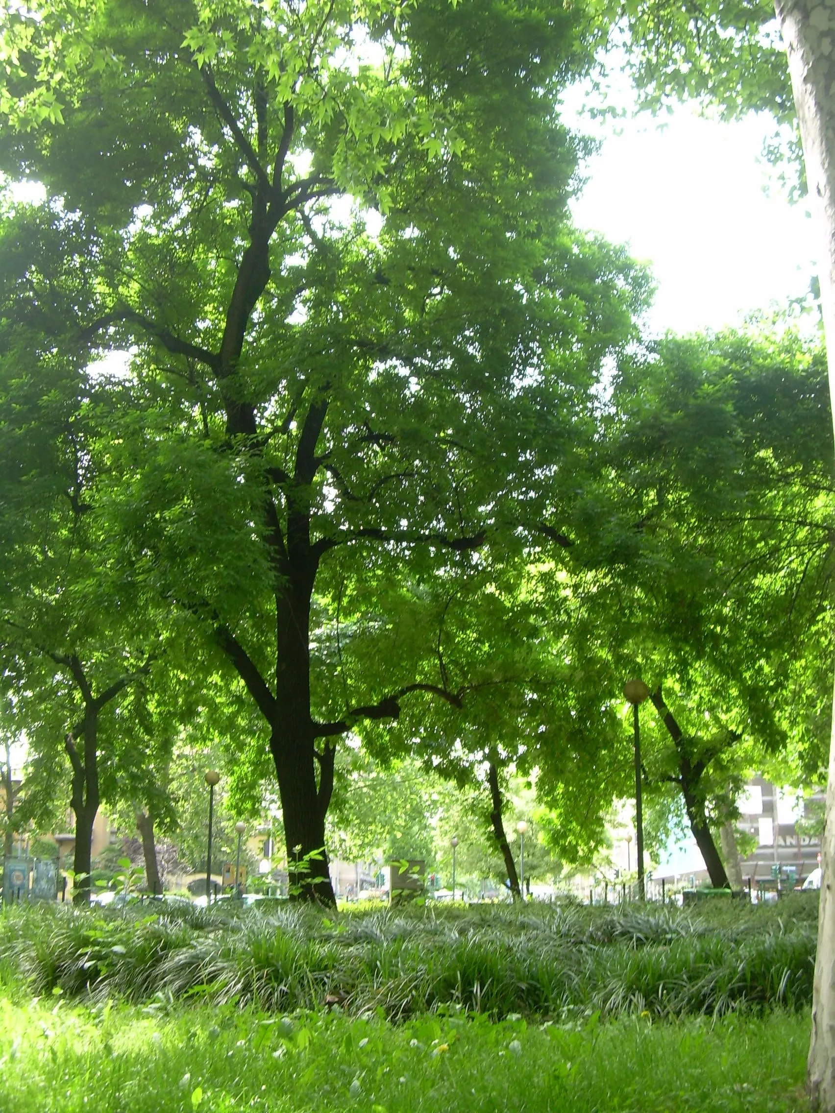 Photo showing: Monumento in piazzale Susa (1981) a Guido Galli (28 giugno 1932 – Milano, 19 marzo 1980), magistrato e docente di criminologia italiano.