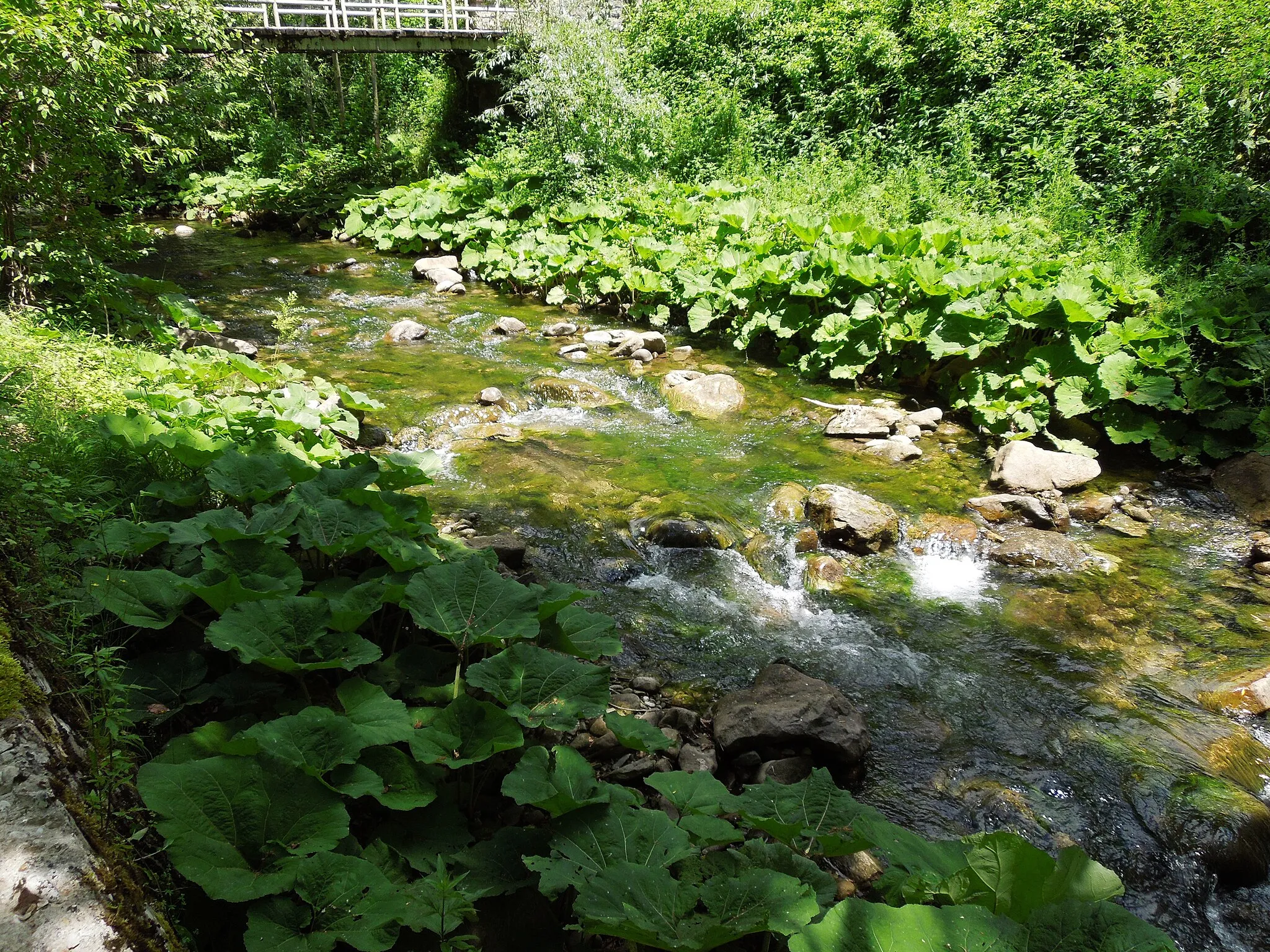 Photo showing: Ansa del fiume Tordino, nei pressi del vecchio mulino,  del paese di Padula, frazione del comune di Cortino in provincia di Teramo.