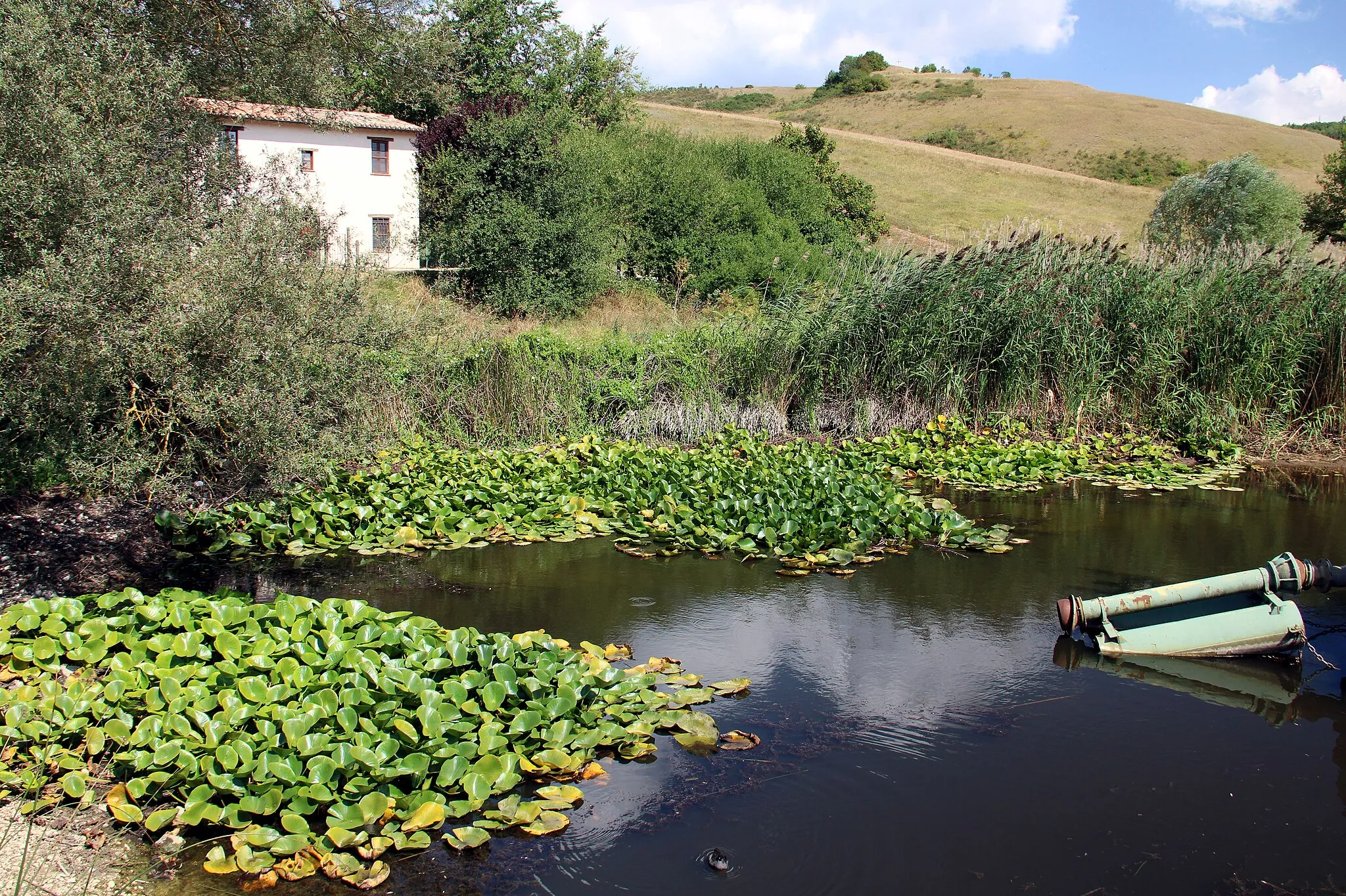 Photo showing: Cammino Francescano della Marca, Foligno, Colfiorito, Parco di Colfiorito