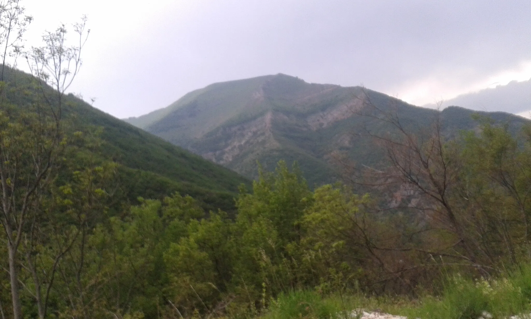 Photo showing: Monte Val di Fibbia, versante est