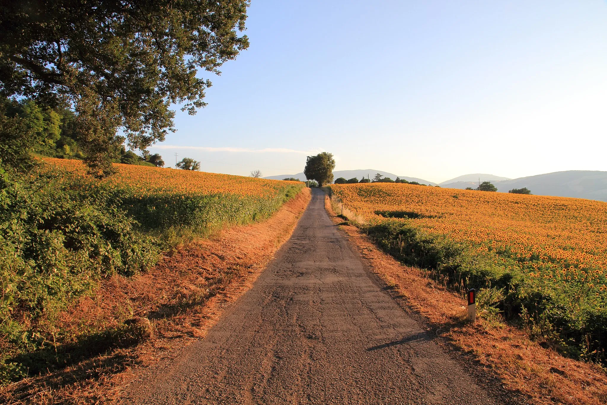 Photo showing: Road in Sant'Ippolito, Province of Pesaro and Urbino