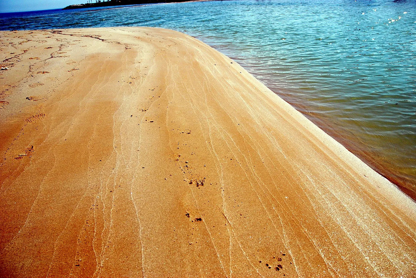 Photo showing: spiaggia dorata