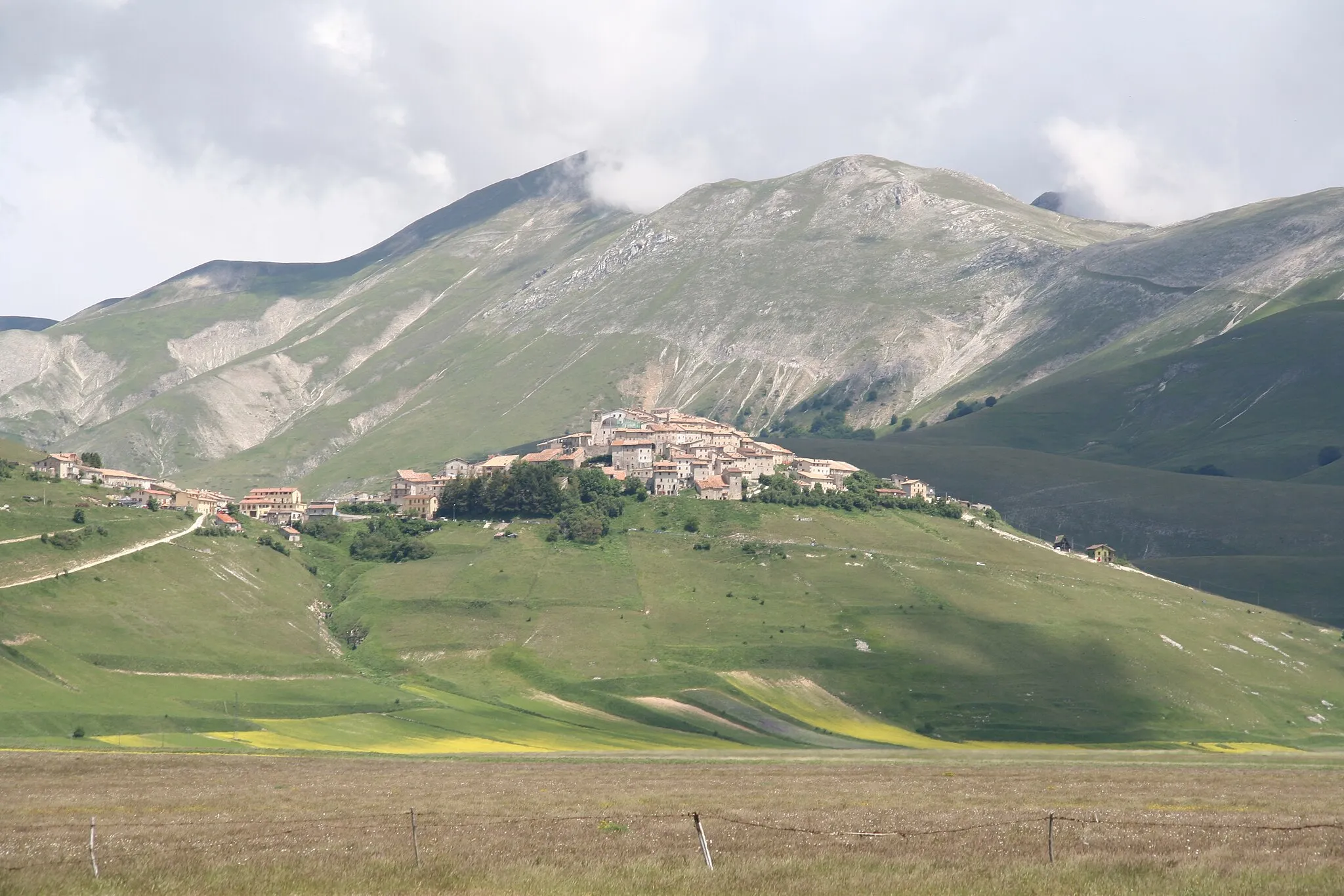 Photo showing: castelluccio in fiore (DC)