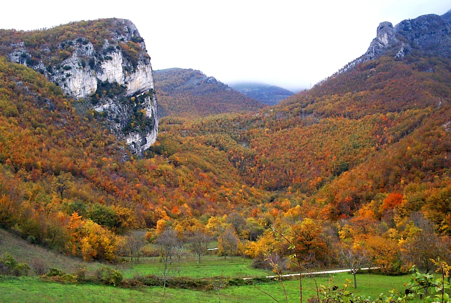 Photo showing: Foliage nella valle di Pieia