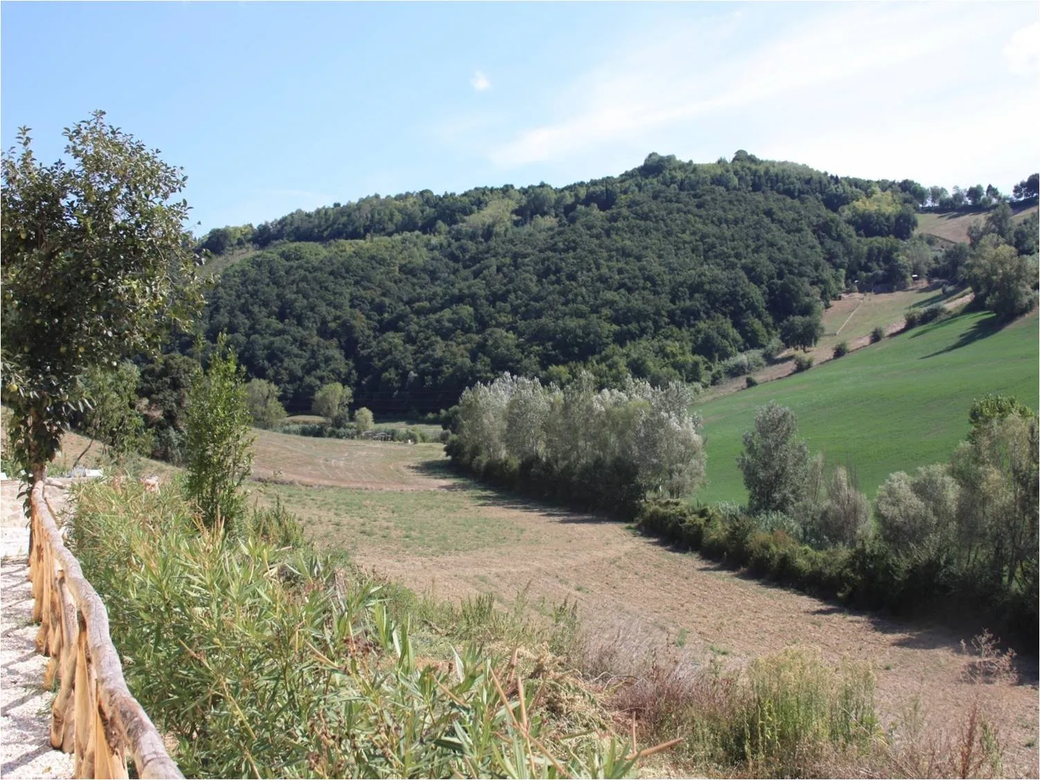 Photo showing: Orto botanico Selva di Gallignano, Ancona, Italy