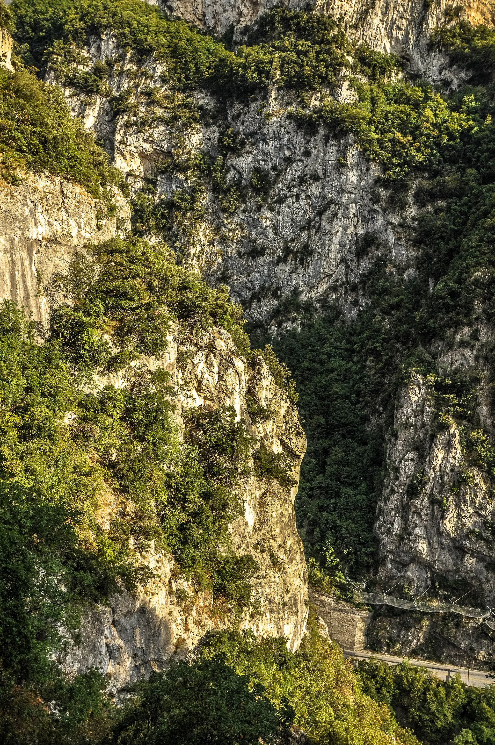 Photo showing: The authorisation for taking photos of this object was provided by the World Wide Fund for Nature Italy.