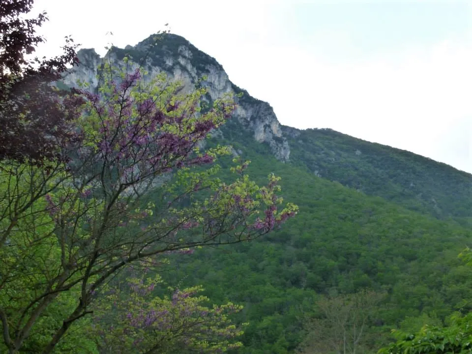 Photo showing: This is a photo of a monument which is part of cultural heritage of Italy. This monument participates in the contest Wiki Loves Monuments Italia 2020. See authorisations.