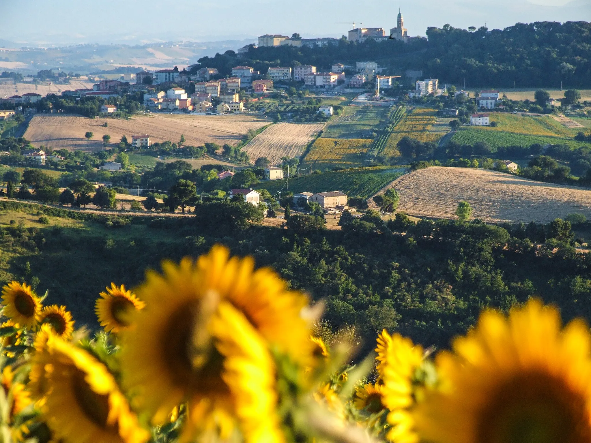 Photo showing: This is a photo of a monument which is part of cultural heritage of Italy. This monument participates in the contest Wiki Loves Monuments Italia 2020. See authorisations.