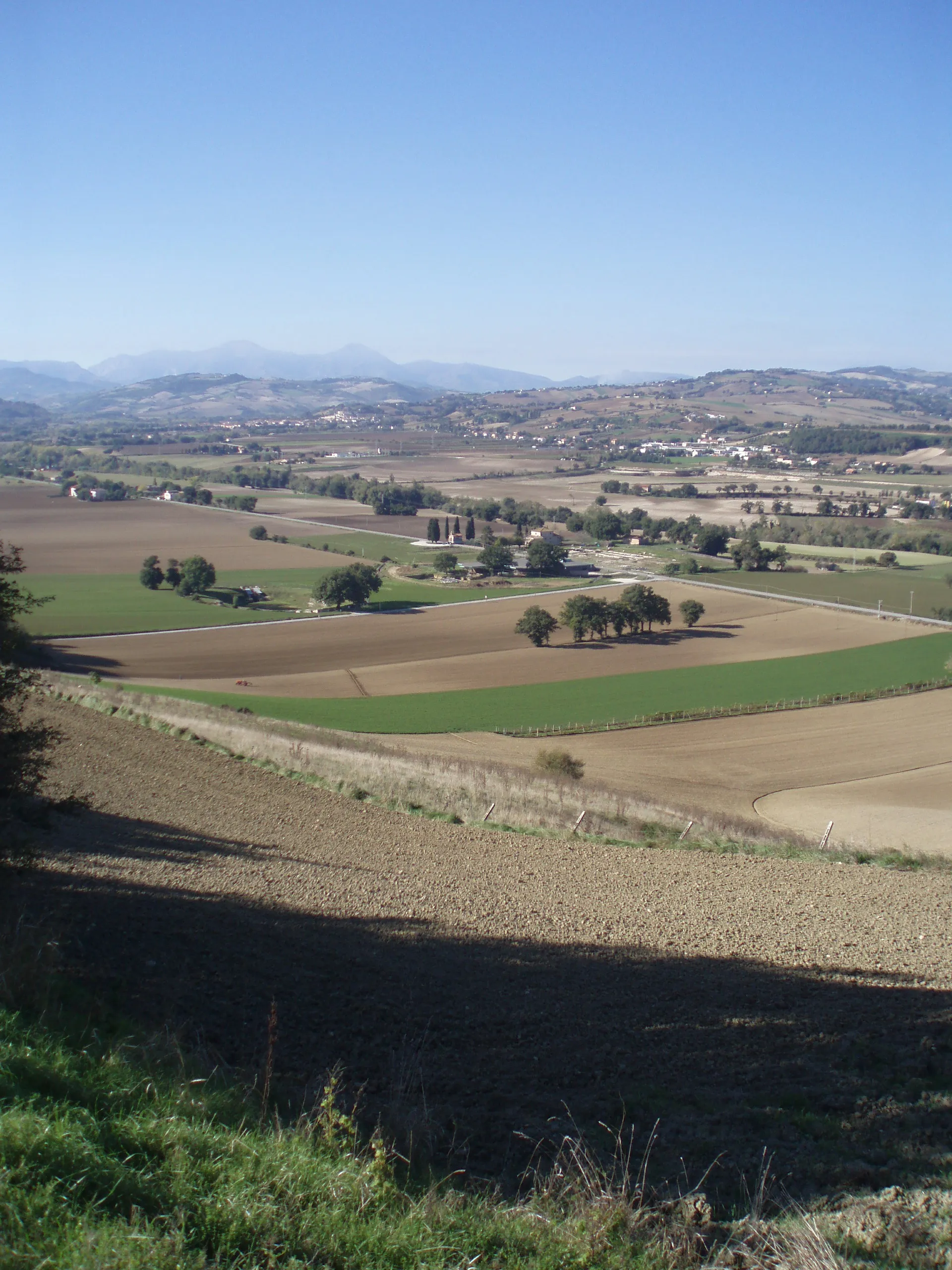 Photo showing: Area archeologica di Suasa - Vista dalla Croce del Termine