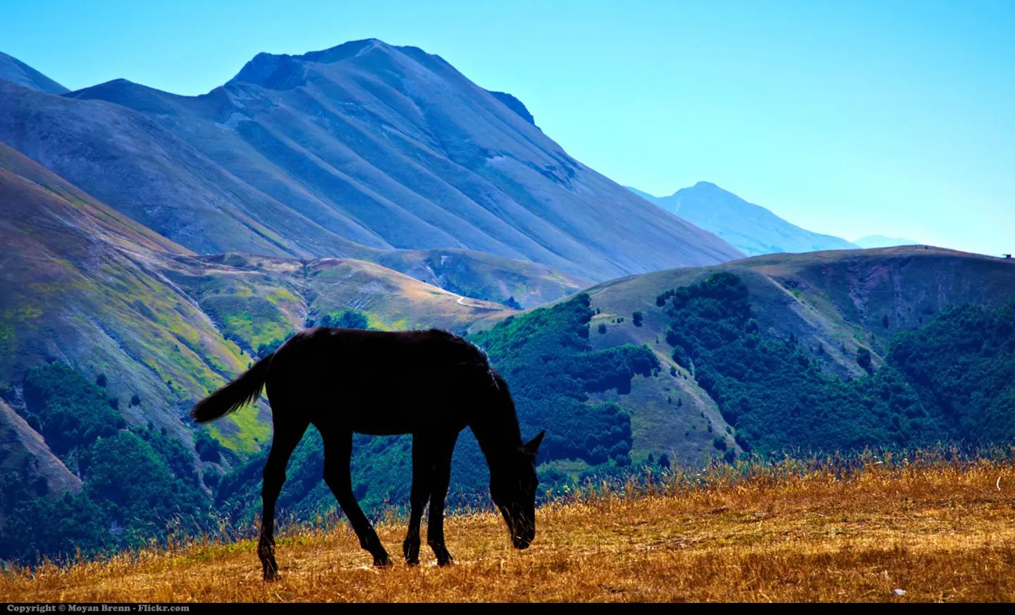 Photo showing: a mountains scenery of italian park of Sibillini.