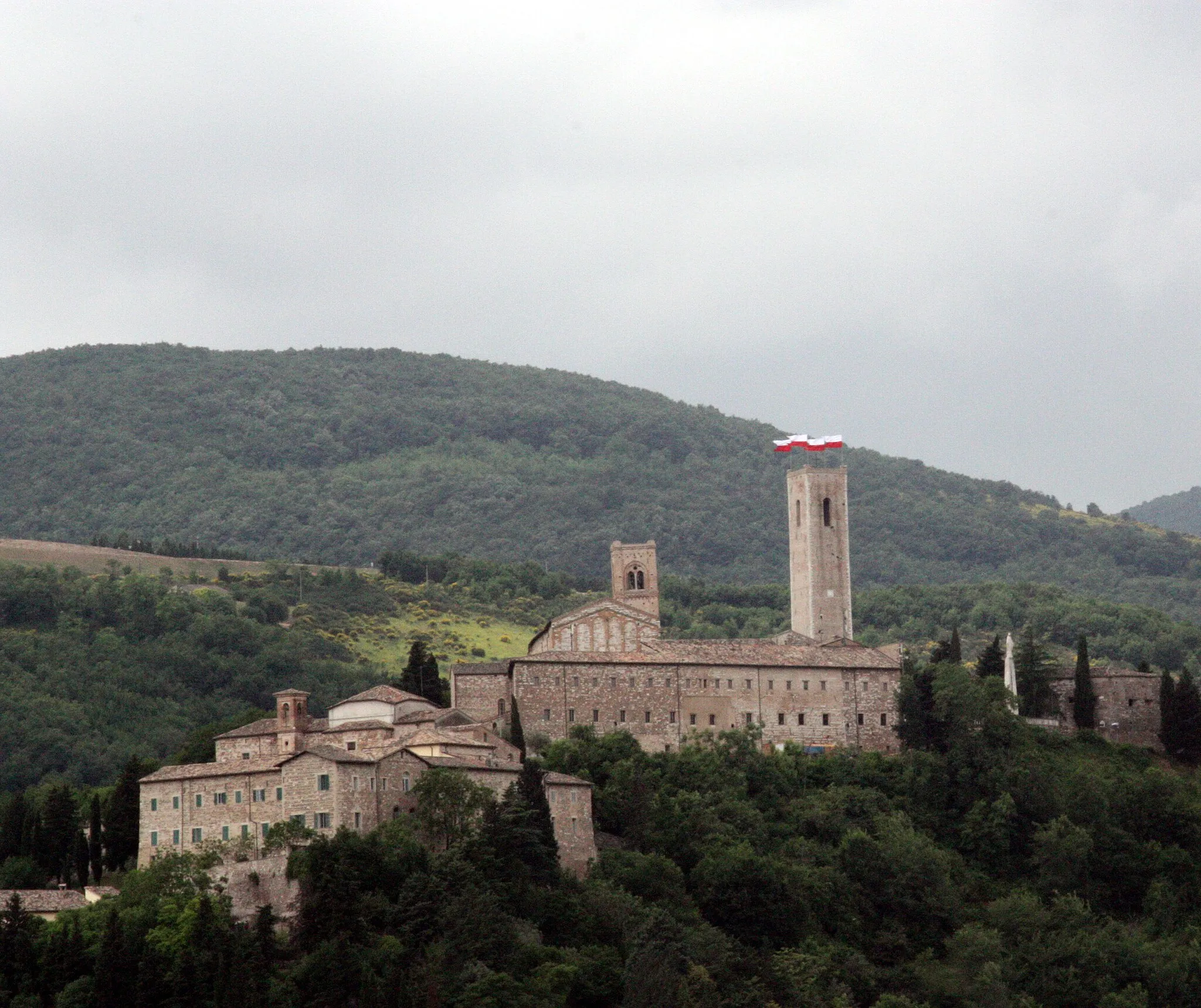 Photo showing: Castle on Monte Nero, in San Severino