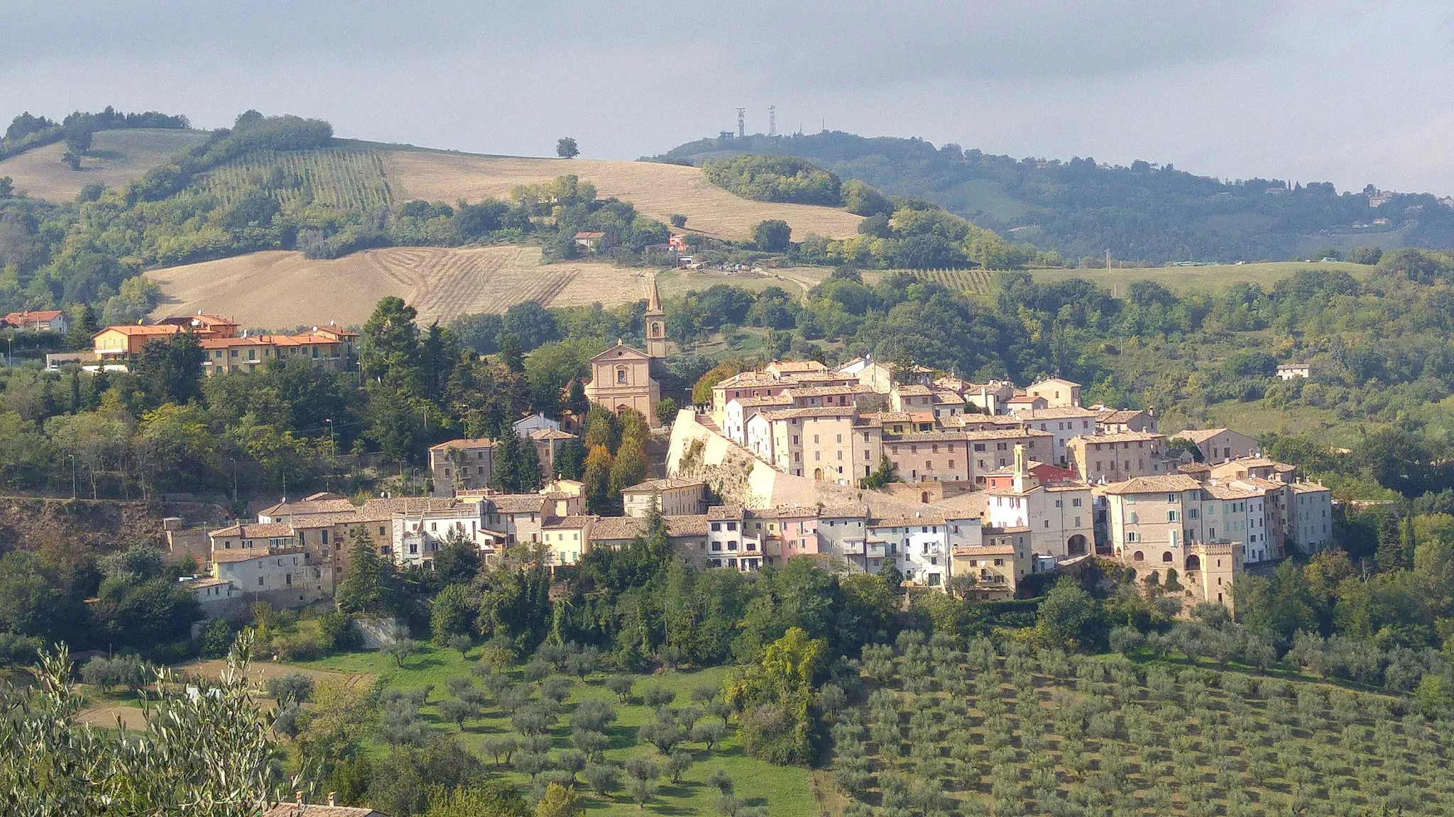 Photo showing: Cartoceto da via della Pieve