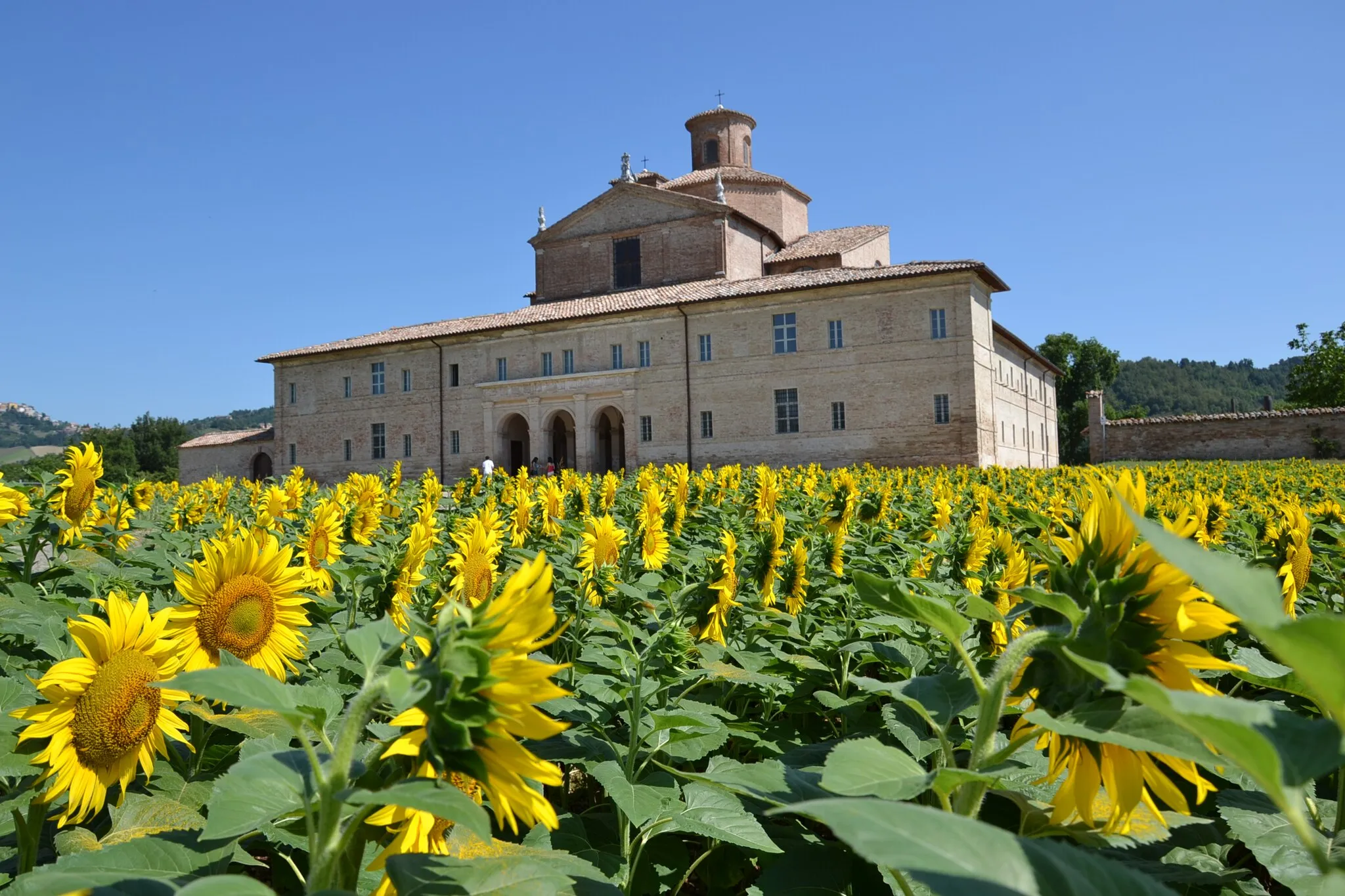 Photo showing: Ducal Palace of Urbania