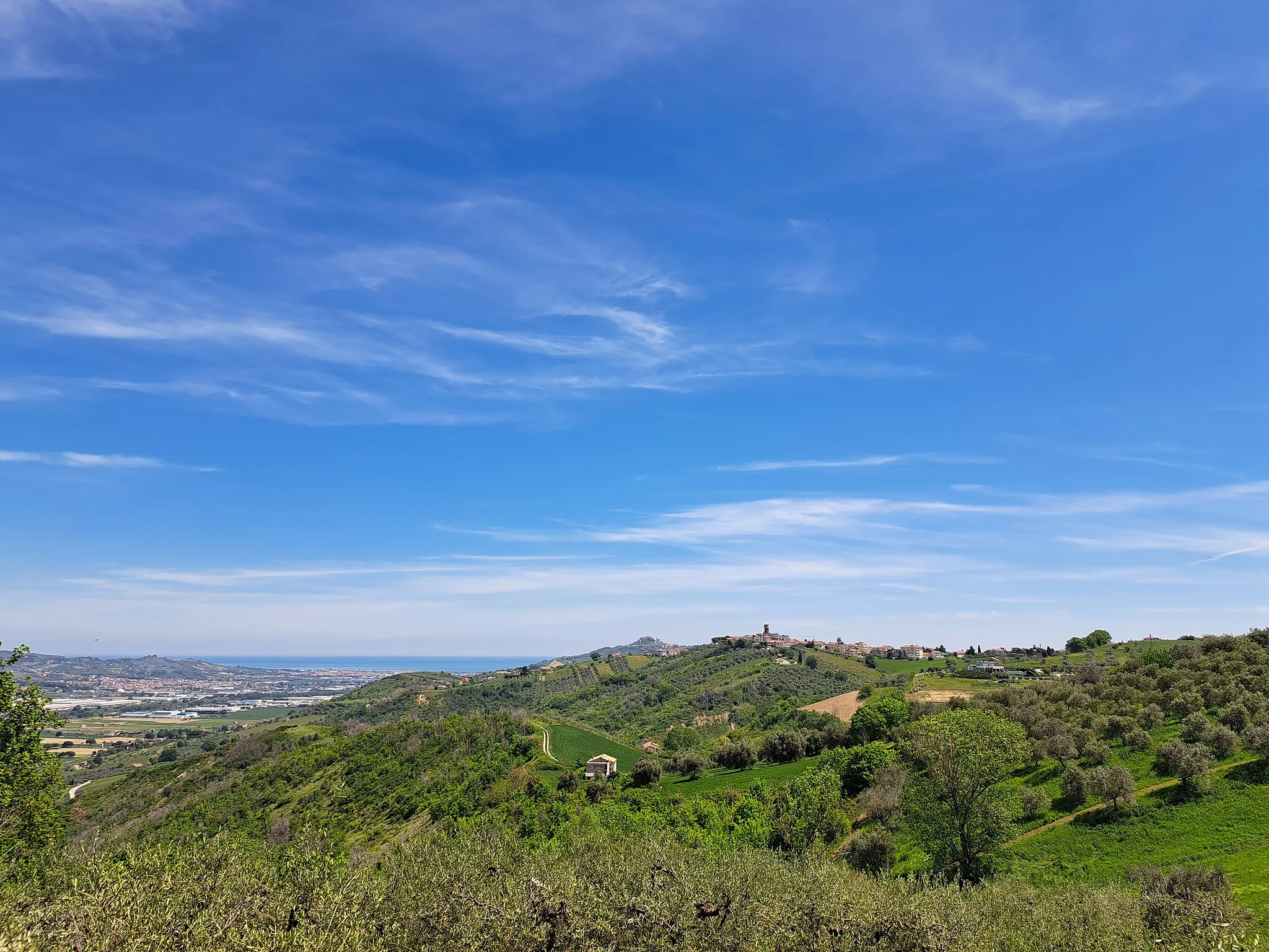 Photo showing: Panorama di Controguerra da contrada Colle Fruscione 2023