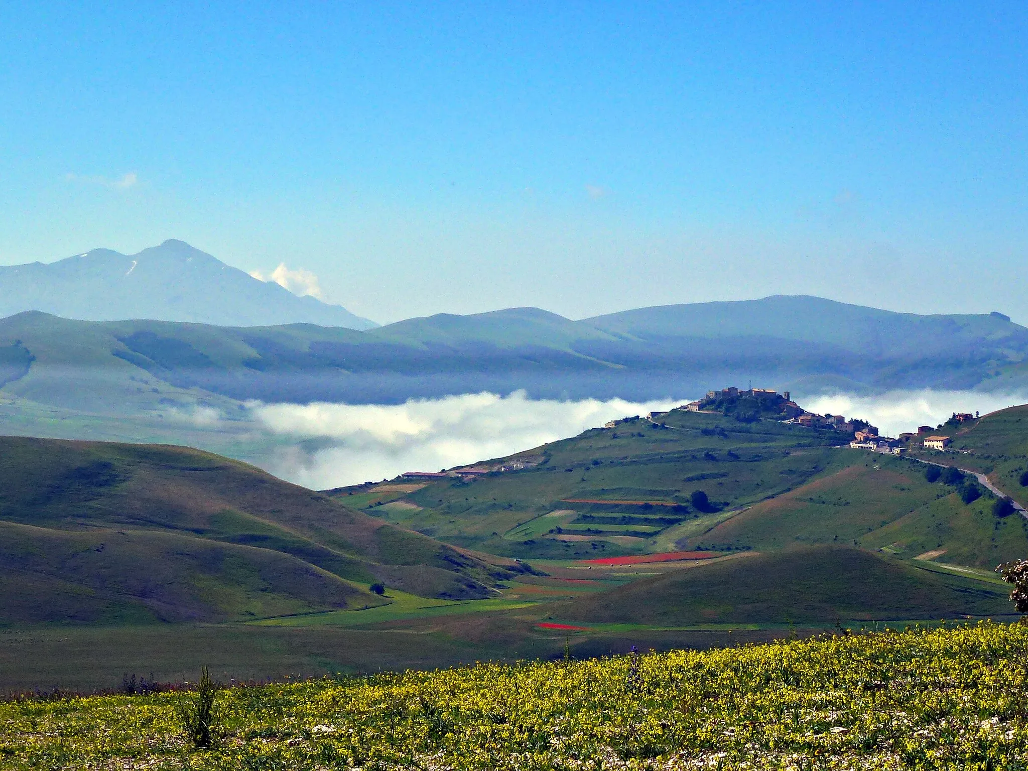 Photo showing: Village Castelluccio in July 2016 and a view to the clouds over the deeper agricultural fields in Piani di Castelluccio, taken from the road up to Forca di Gualdo (1496 m). Lower small hill 'Colle Tamburo' near the road, and the mountains in the South of Piani di Castelluccio ... above the clouds.