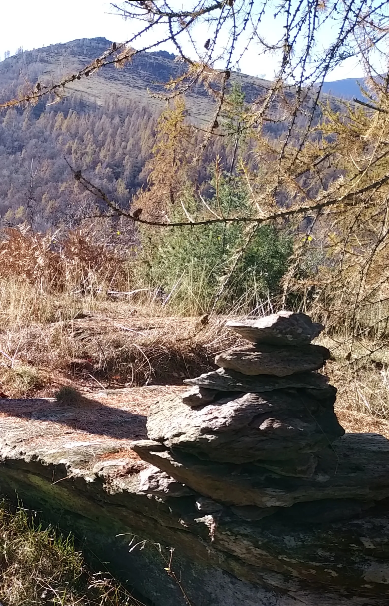 Photo showing: Monte La Buffa (Alpi Cozie): ometto sulla cima, sfondo il monte Castelletto