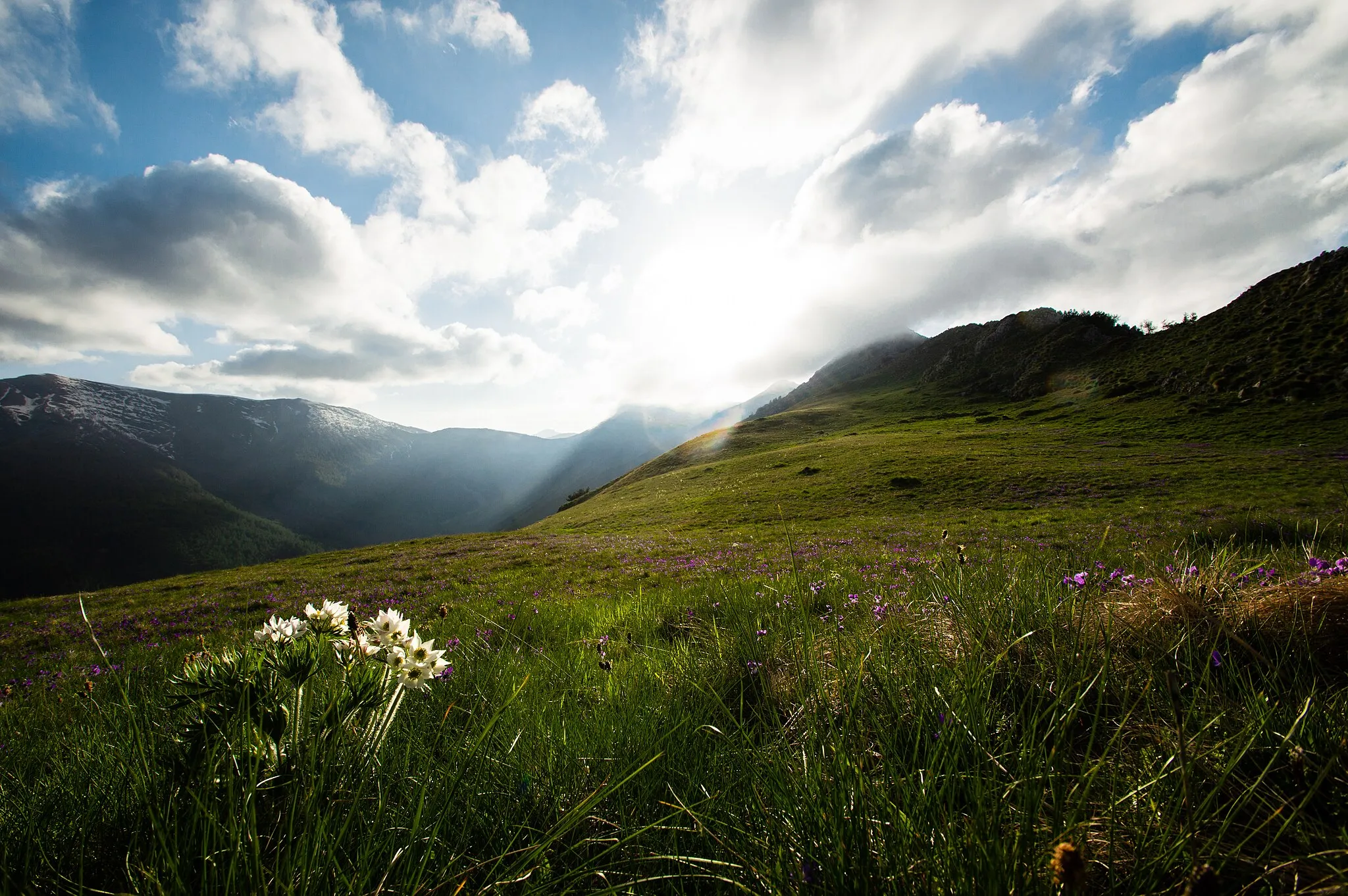 Photo showing: mountains of parco Marguareis