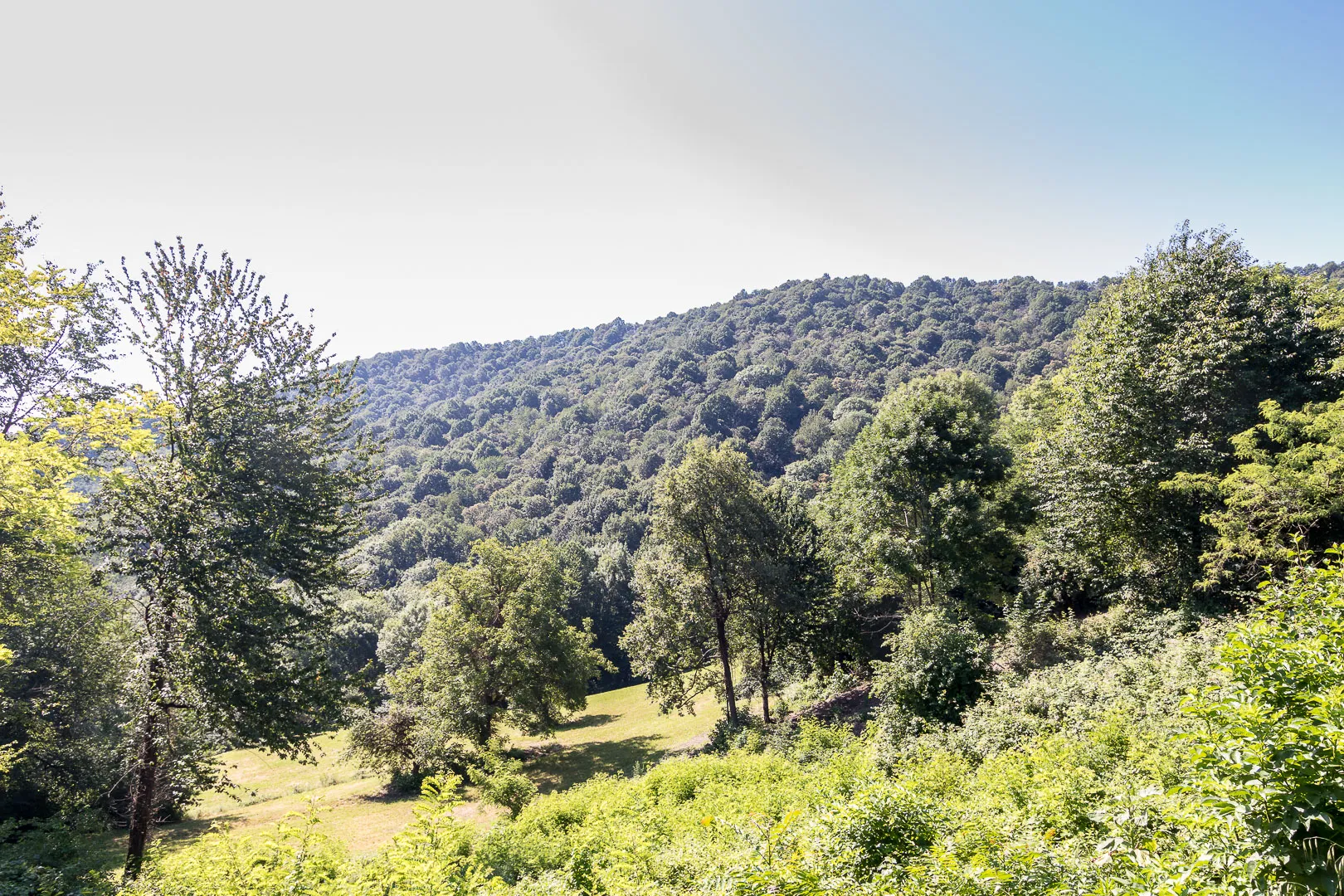 Photo showing: Riserva naturale del Bosco del Vaj (Q3936911)