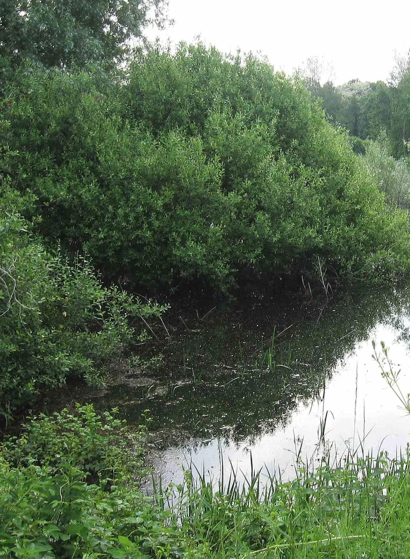 Photo showing: This is a a picture of a Natura 2000 protected area with ID