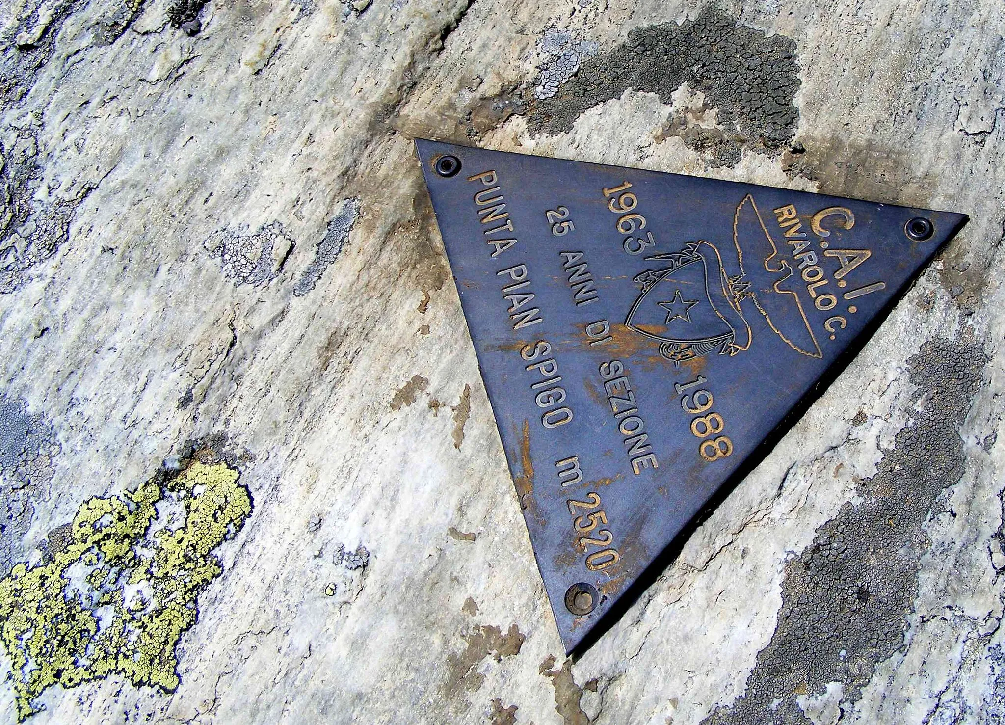 Photo showing: Punta di Pian Spigo (Graian Alps, TO, Italy): metal plaque on the top