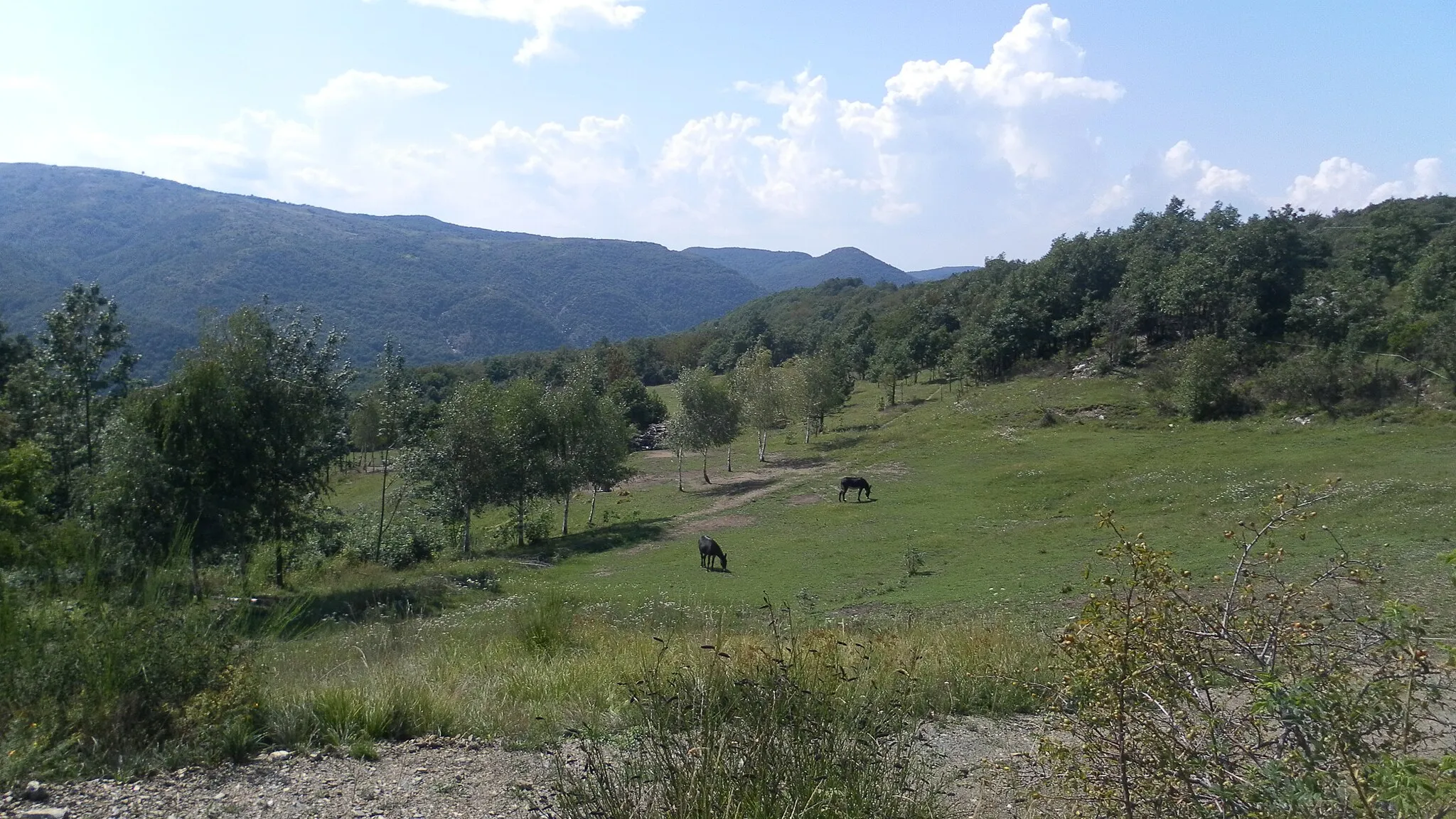 Photo showing: View from ruins of Benedicta Abbey, Bosio (AL)