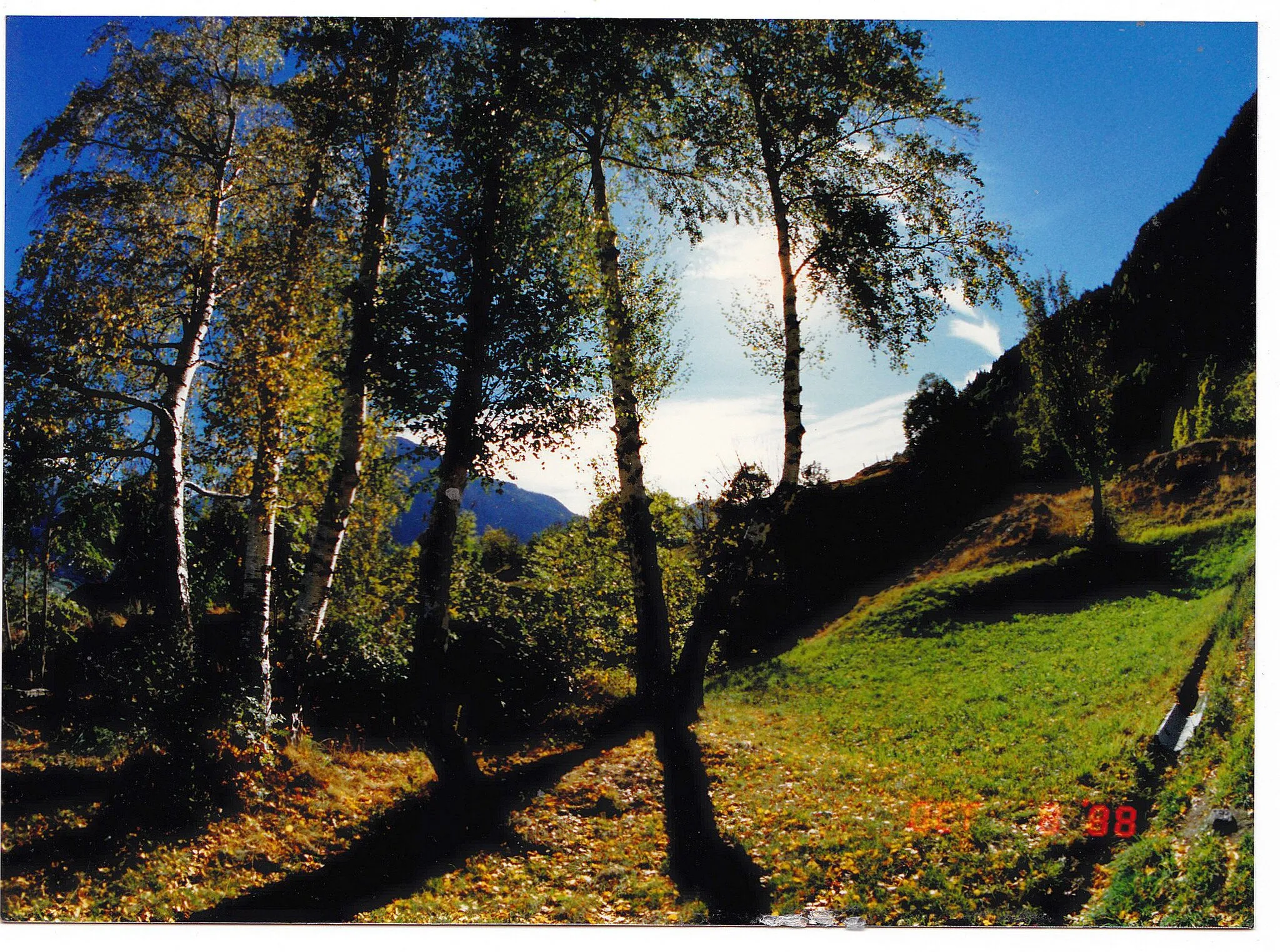 Photo showing: October Autumn Colors Switzerland - Natural Color & ars artis Photography 1988