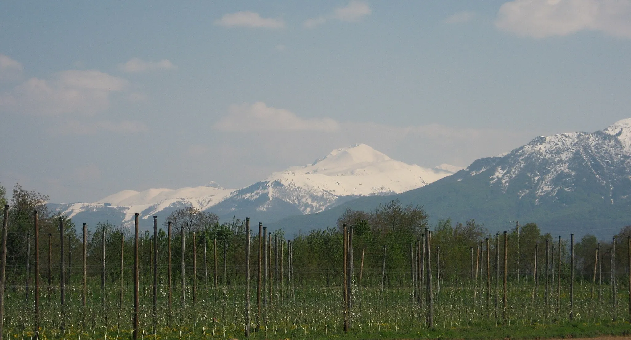 Photo showing: View of Mount Mondolè, Province of Cuneo, Italy