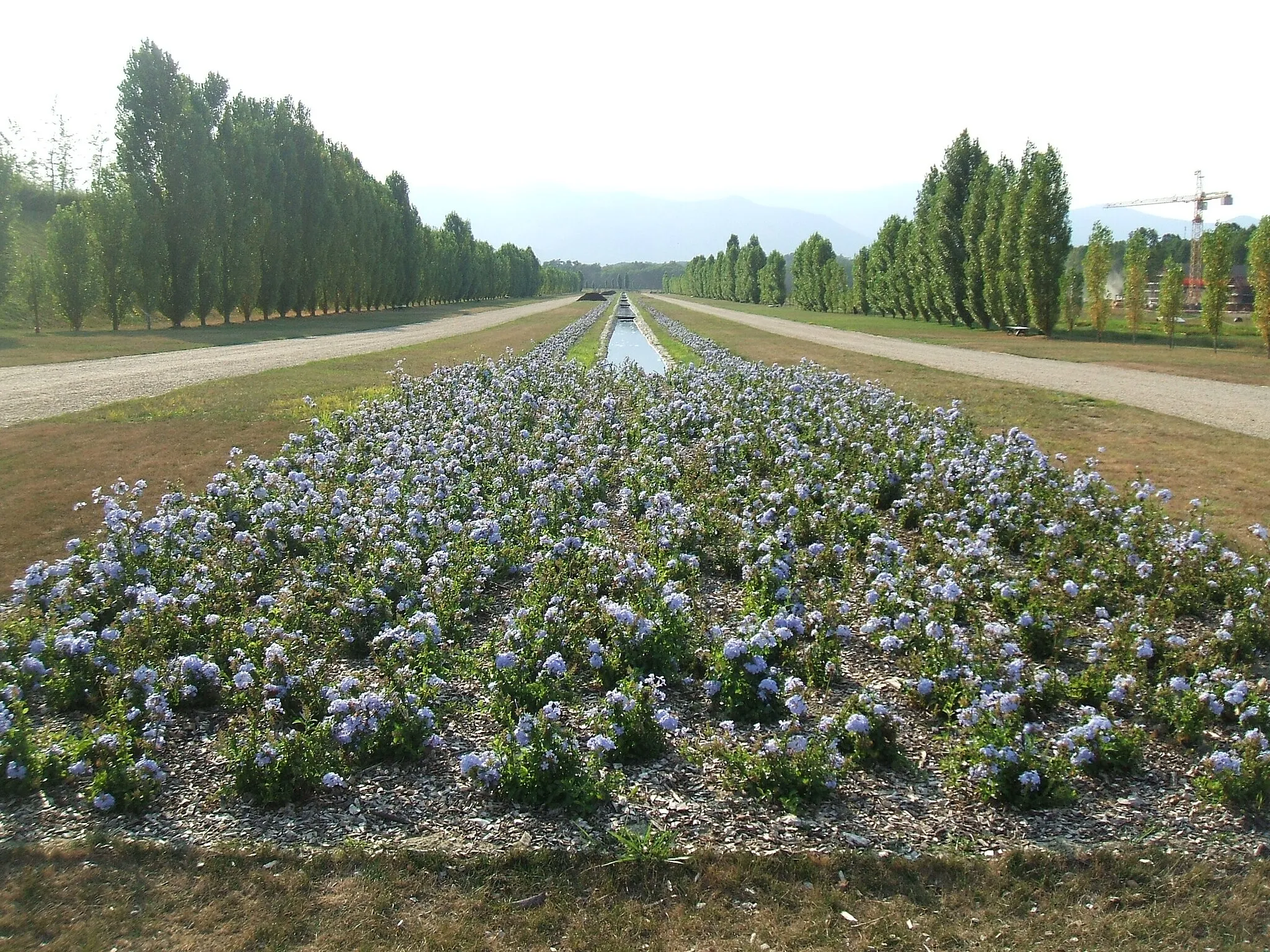 Photo showing: Venaria Reale, Torino: Giardini alla francese, Allea di Terrazza.