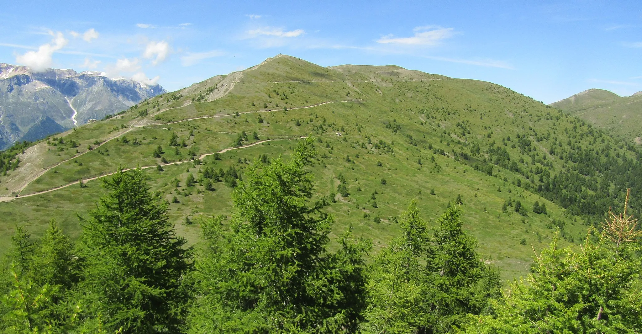 Photo showing: Monte Genevris (Alpi Cozie) vista dal crinale dalla Punta di Moncrons