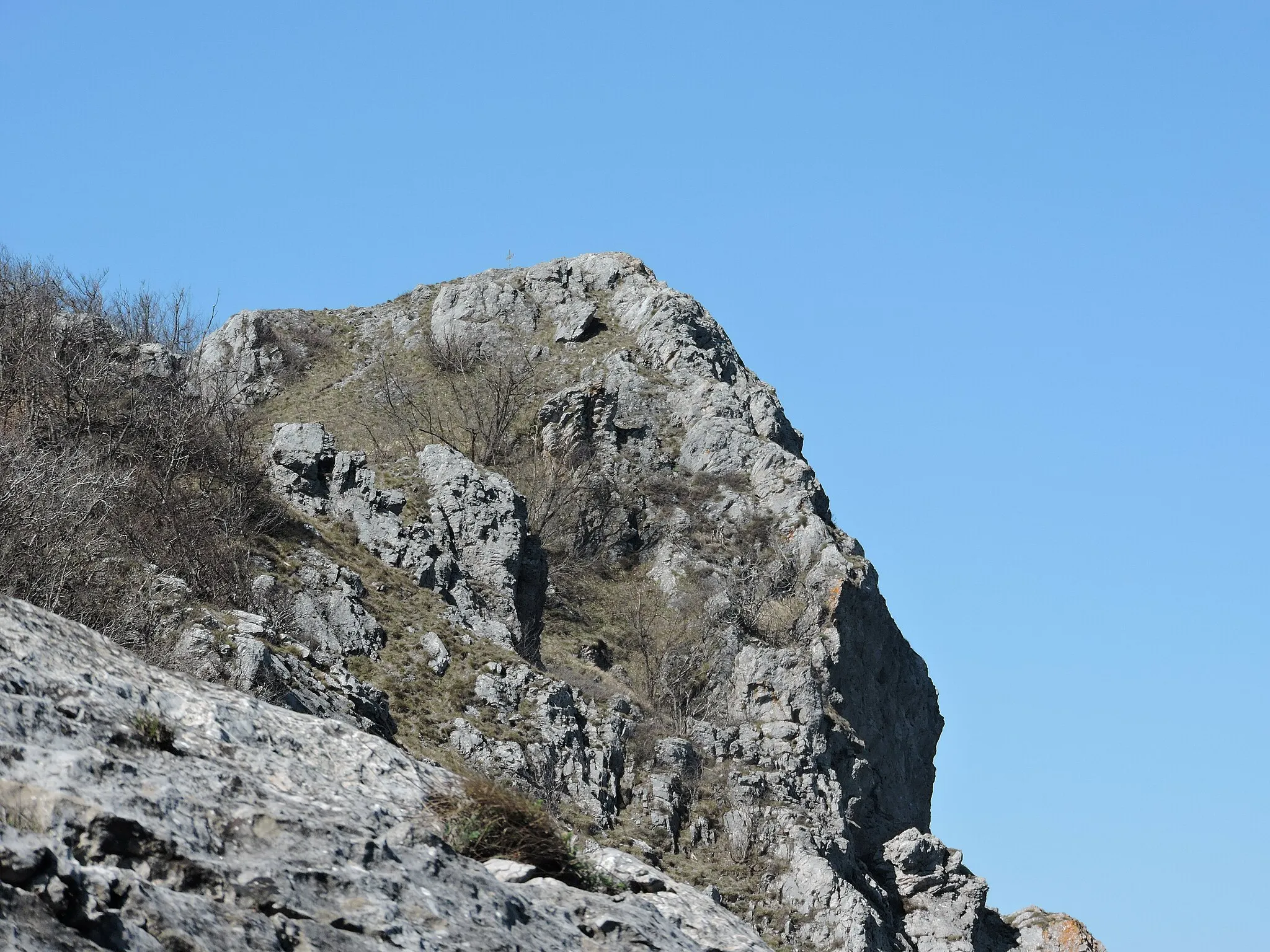 Photo showing: Monte Ravinet - Rocca Barbena (Q49961672) Rocca Barbena summit