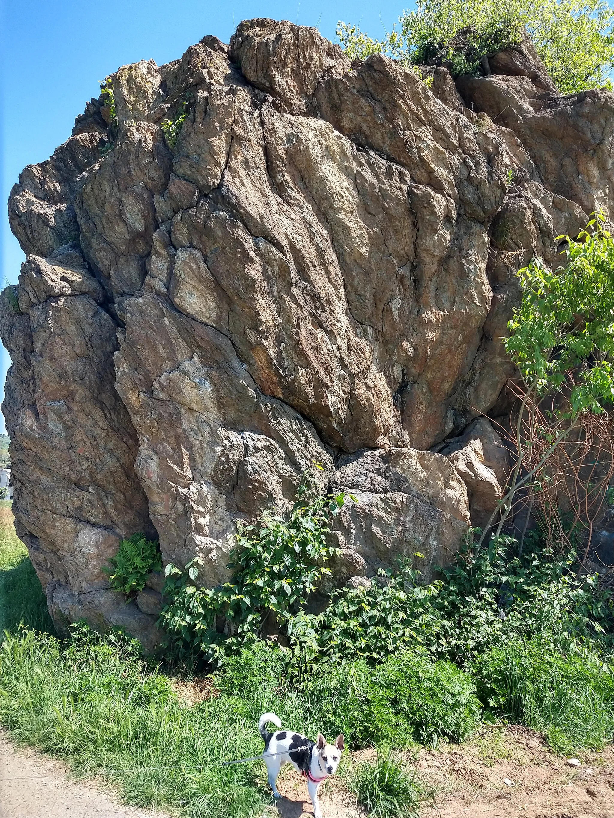 Photo showing: Erratic Boulder