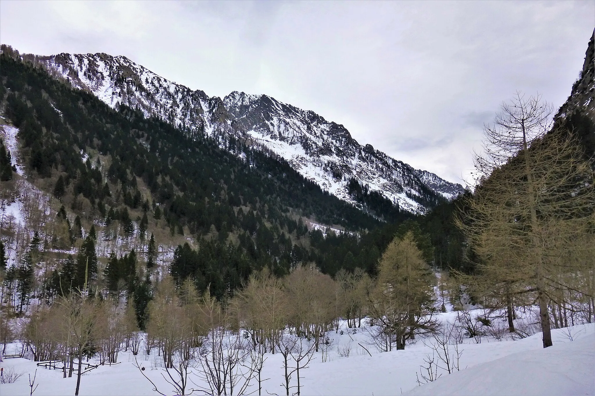 Photo showing: Vallone di Terme di Valdieri, Valdieri, marzo 2019