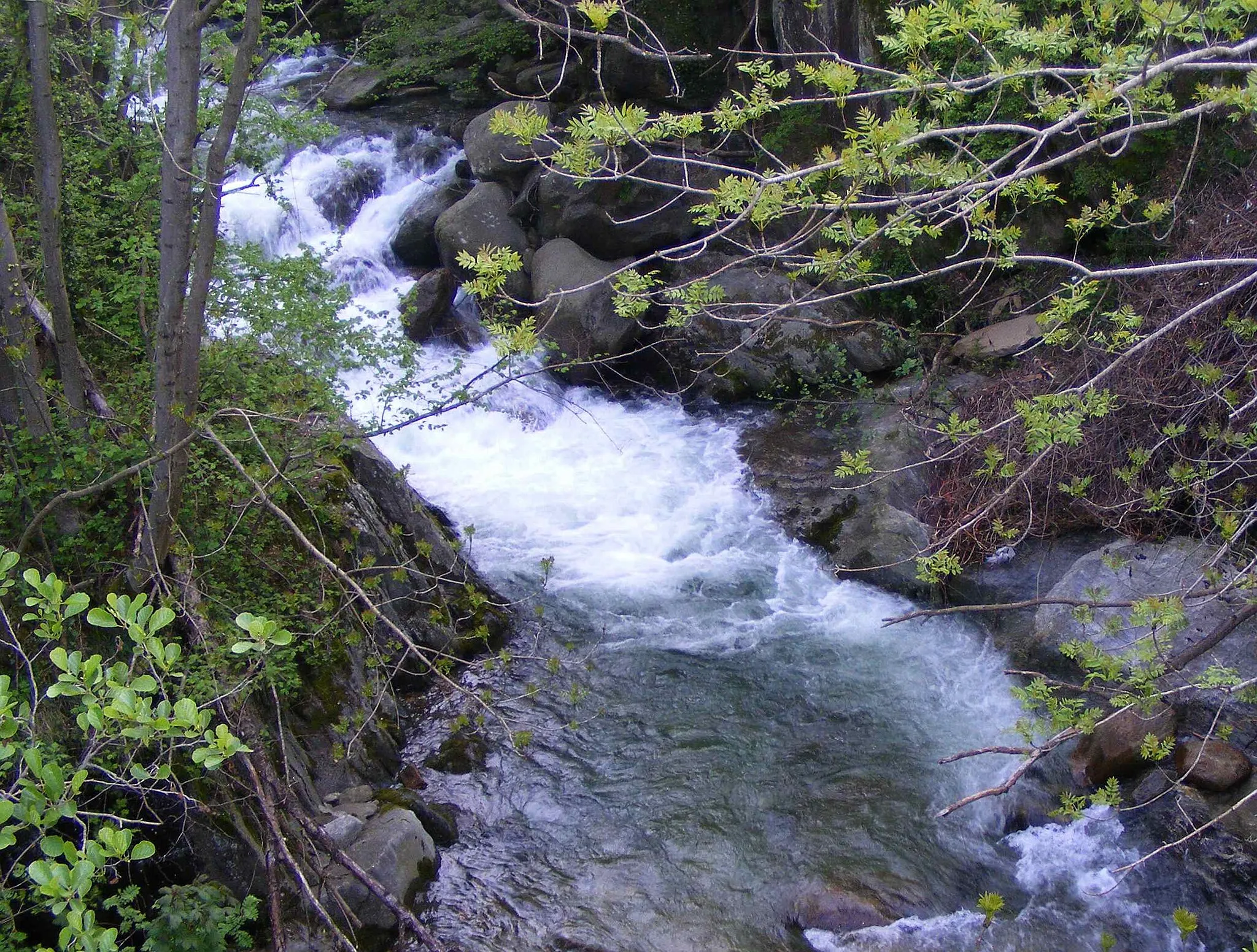 Photo showing: Piova creek fron the bridge between Colleretto Castelnuovo and Cintano (TO, Italy)