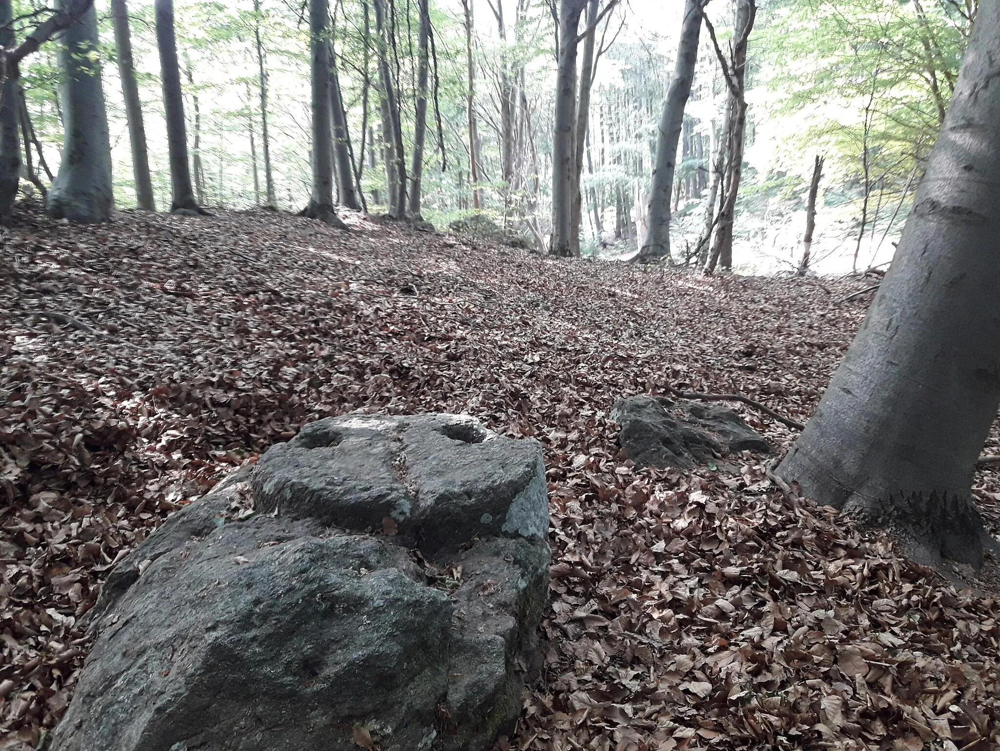 Photo showing: masso con coppelle, monte Ciabergia