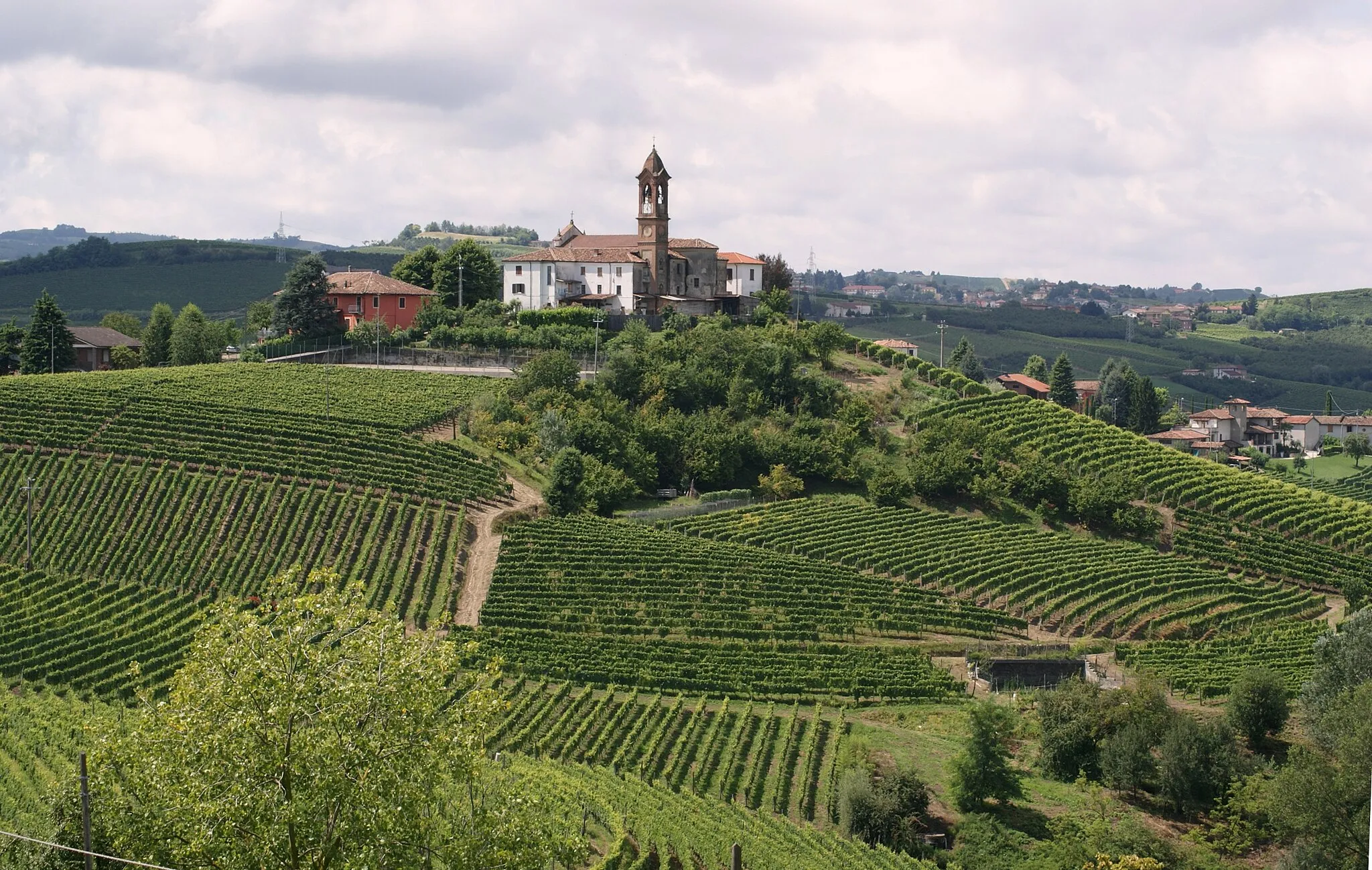 Photo showing: Chiesa di S. Margherita e vigneti.